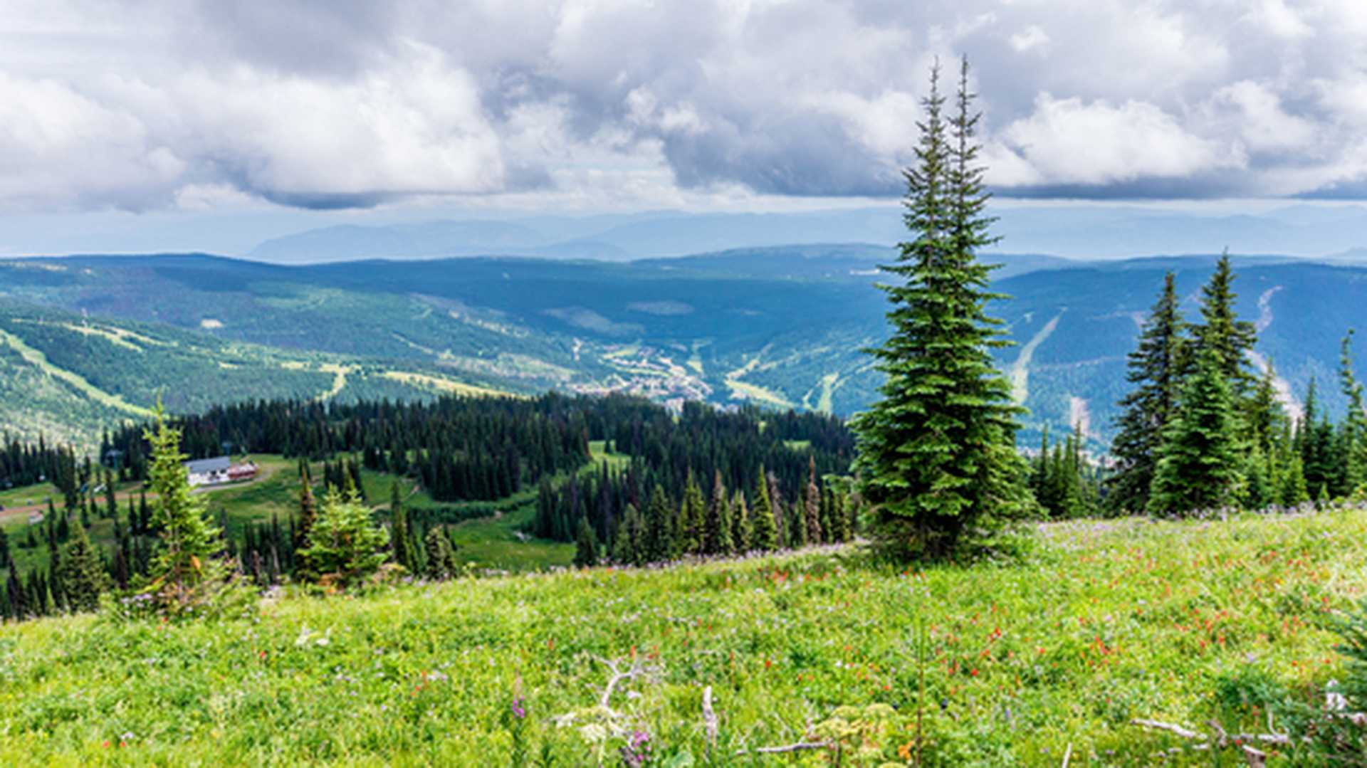 View of Sun Peaks village and valley from Tod Mountain in the Sushwap Highlands and part of the Sun Peaks ski resort in British Columbia, Canada