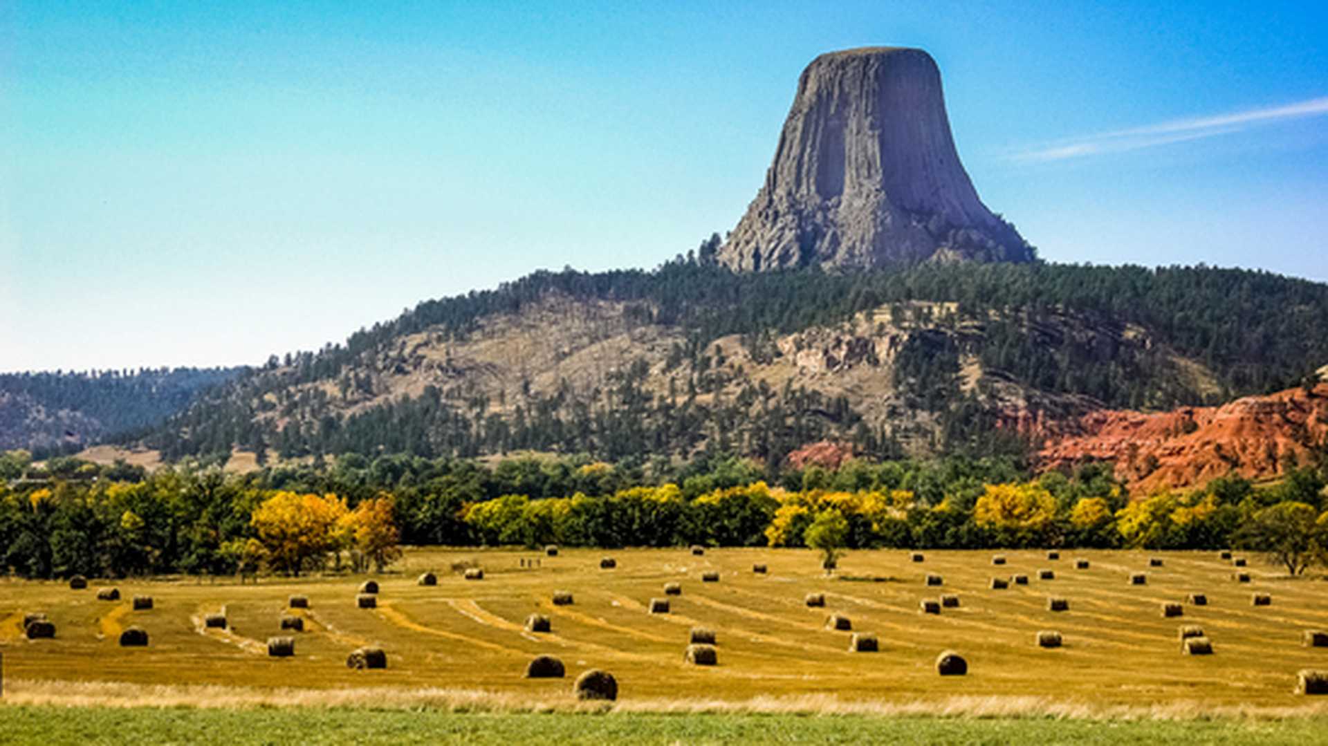 Devils Tower above a Fall hay field