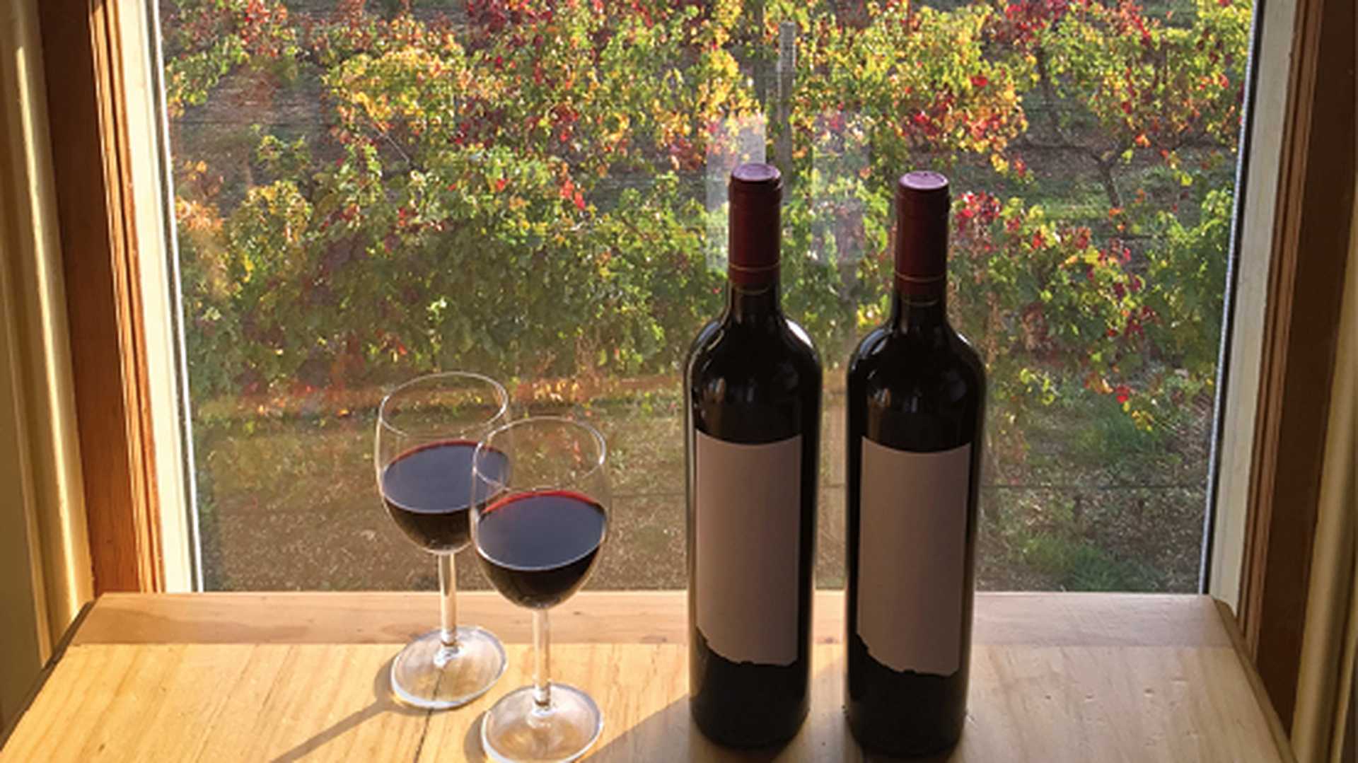 Coonawarra winery region during Autumn in South Australia