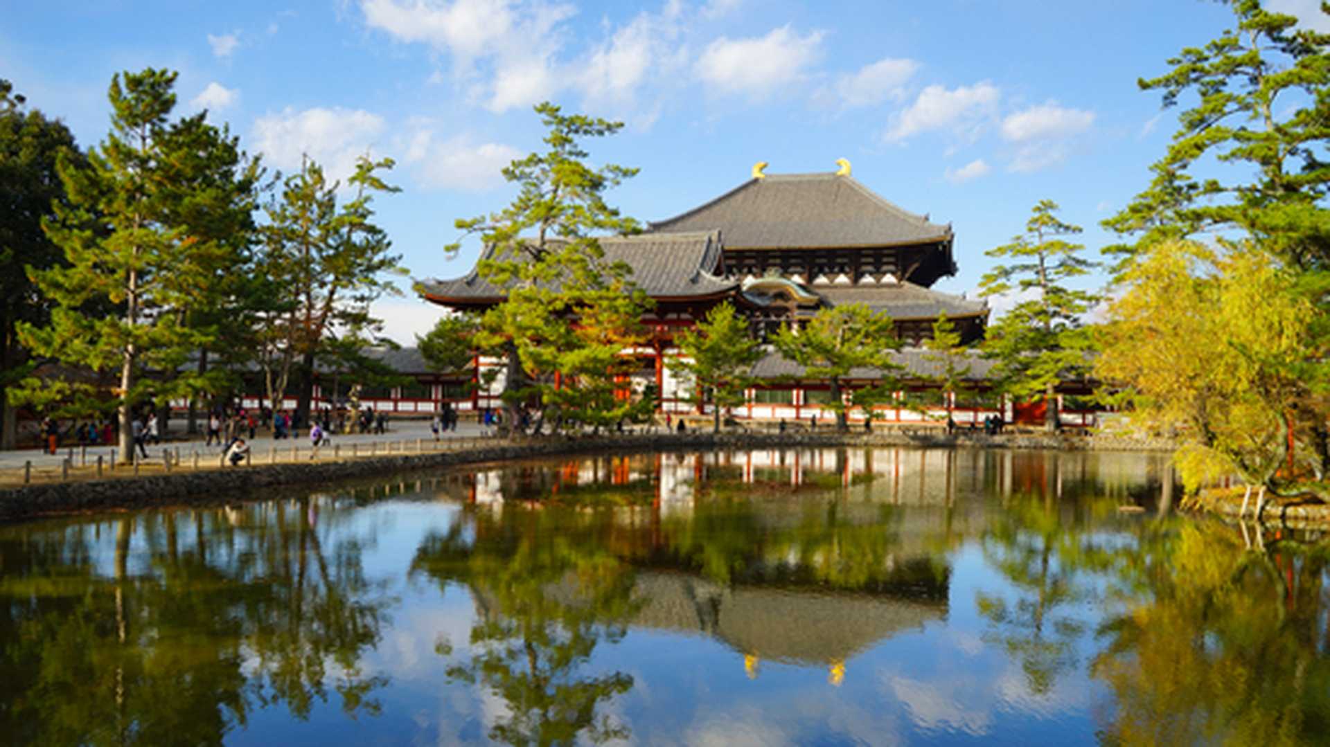 Stunning views of Todaiji Temple in Nara, Japan