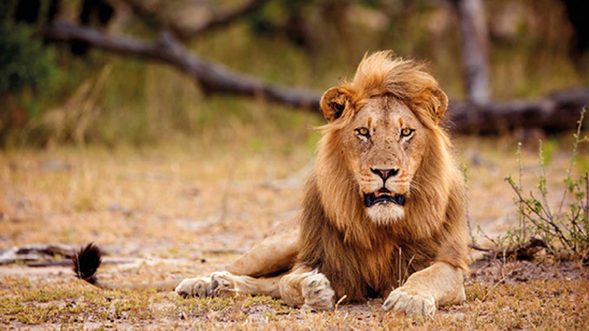 Kruger National Park