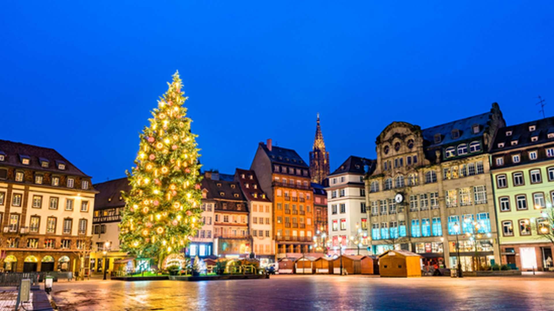 Christmas tree at the famous Christmas Market in Strasbourg at night - Alsace, France