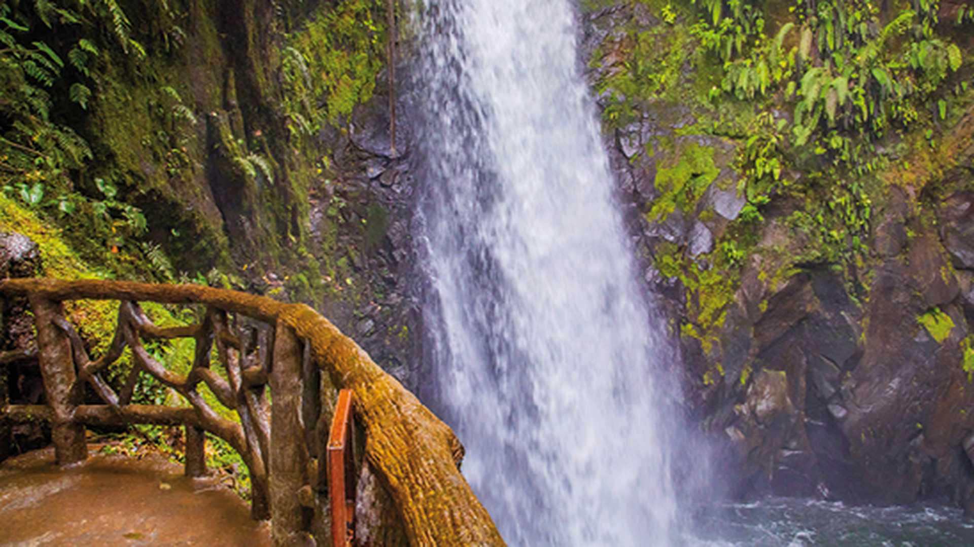 Waterfall in the Park La Paz Waterfall Gardens. Costa Rica.