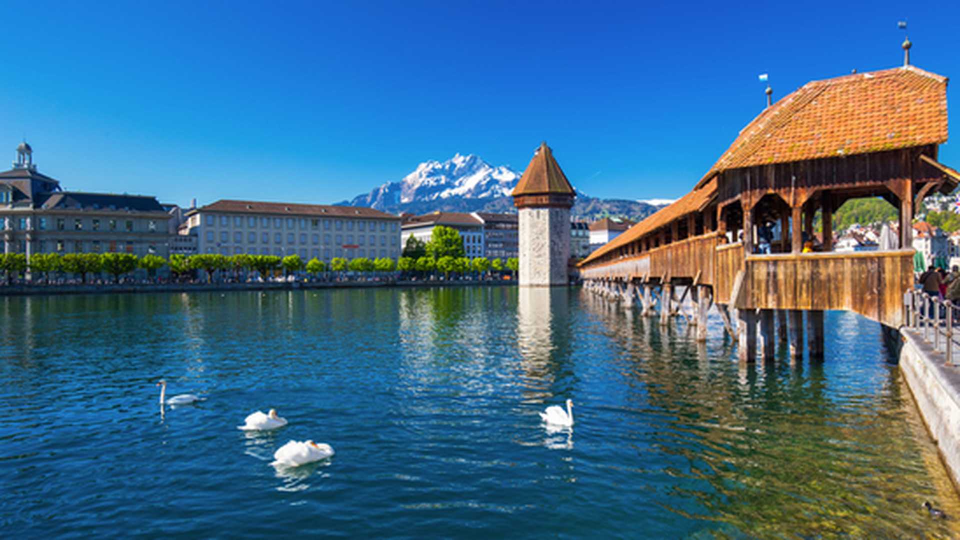 Lucerne