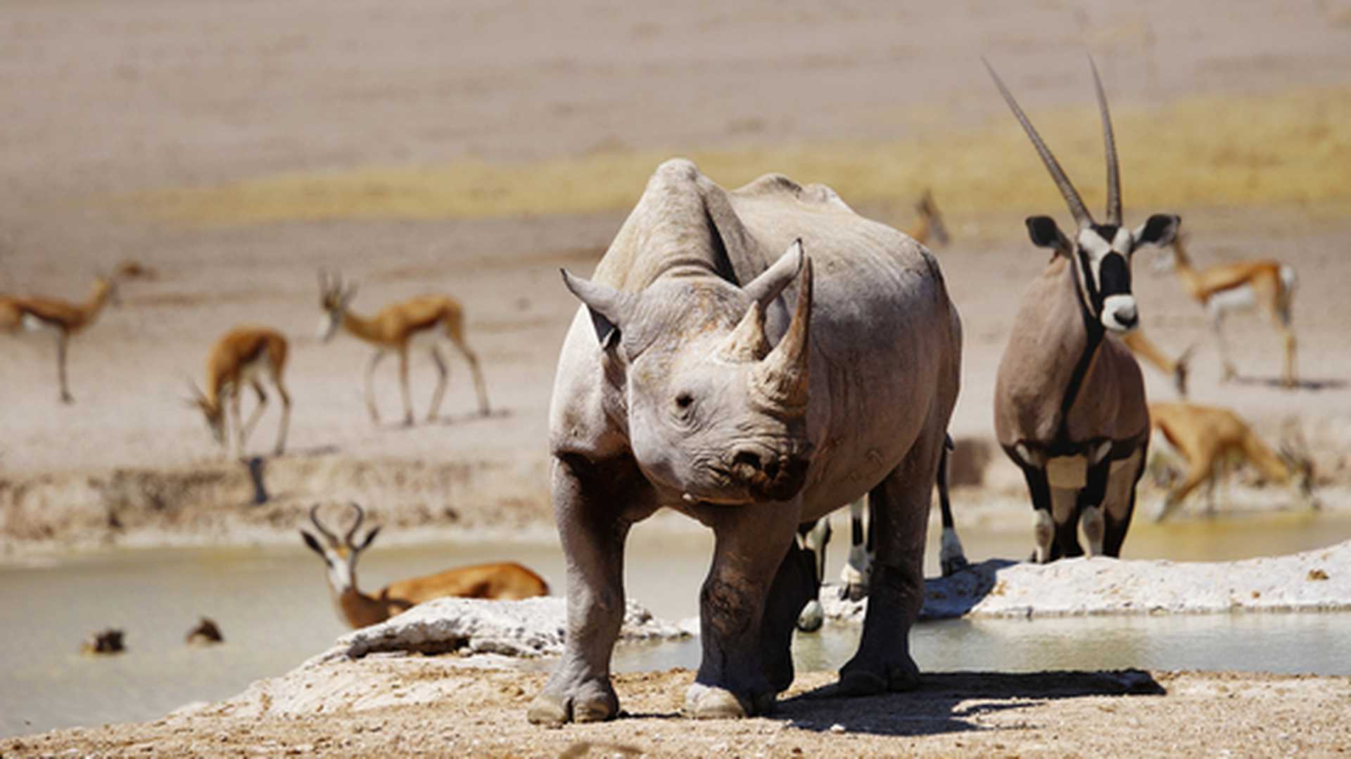 Namibia