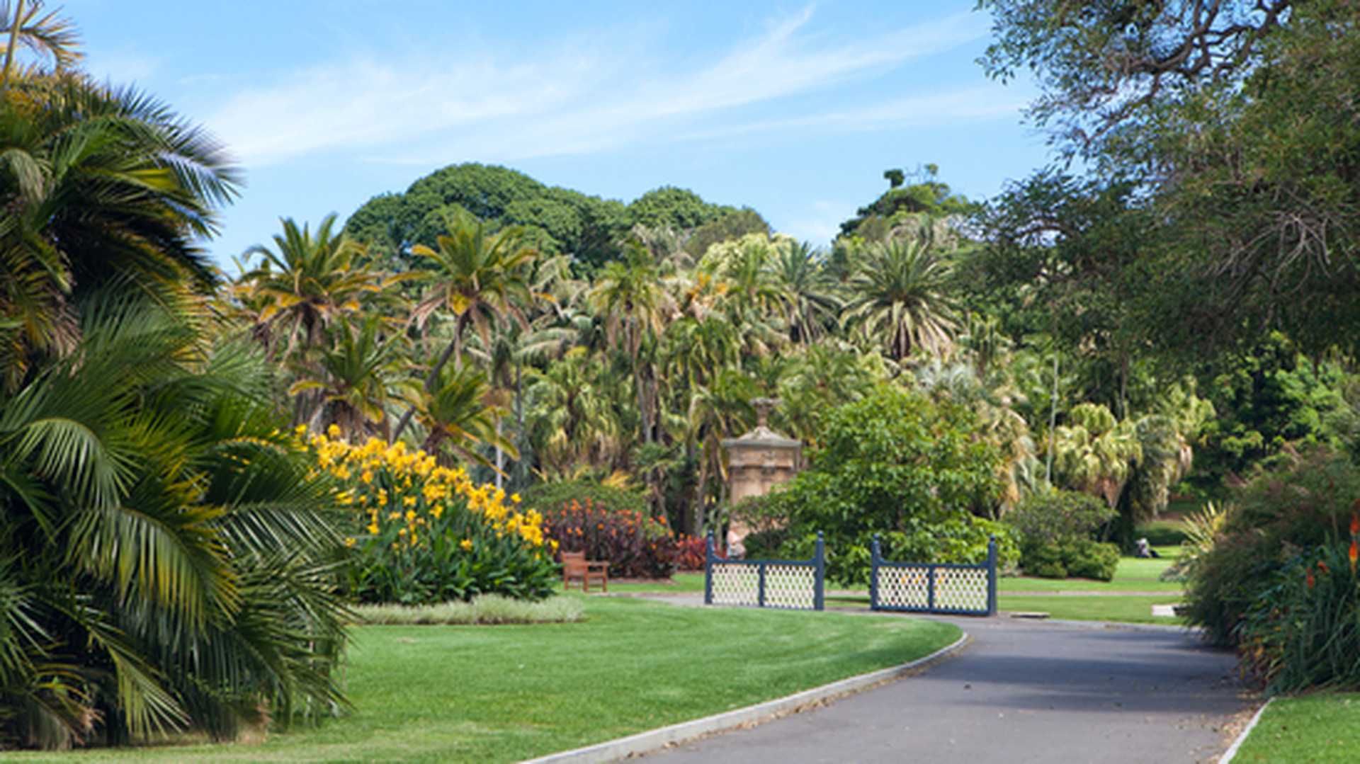 Sydney Botanical Gardens, Sydney, Australia