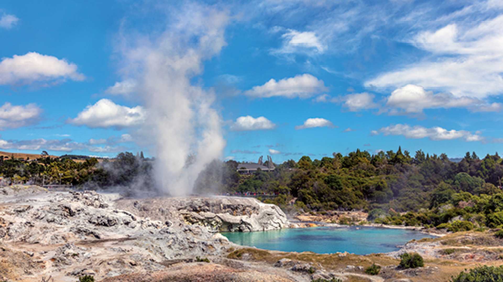 Pohutu geyser in Te Puia therrmal reserve in Rotorua, New Zealand