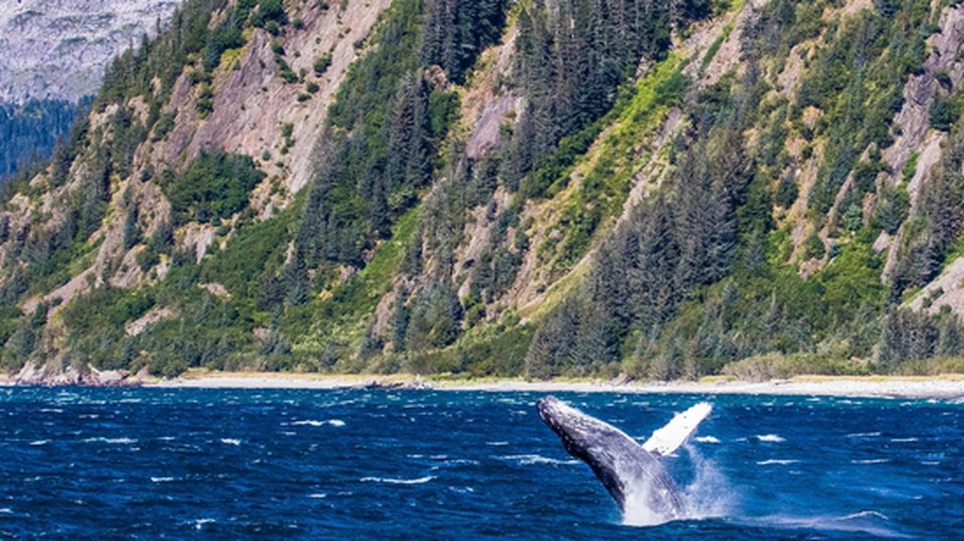 Alaska