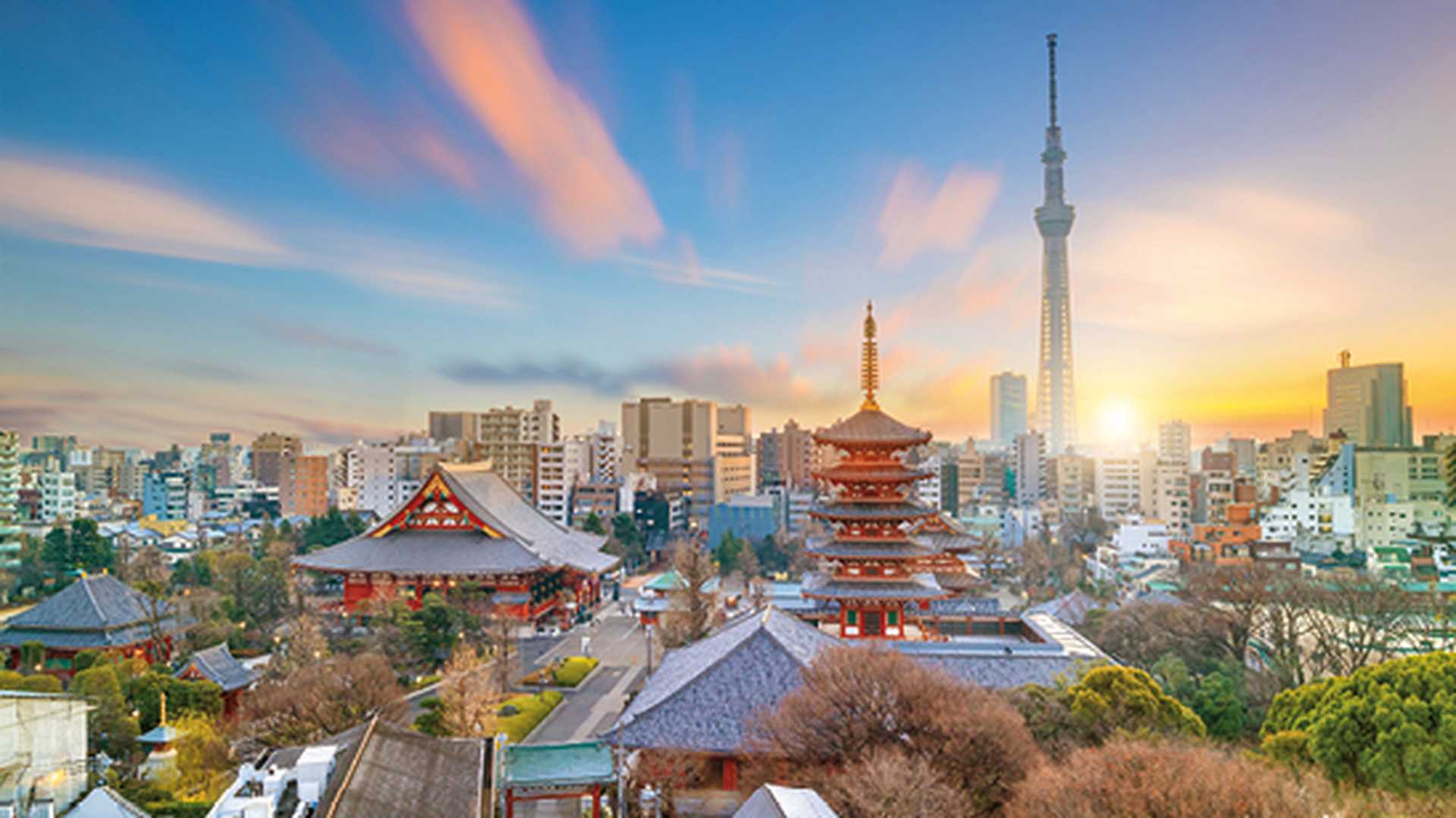View of Tokyo skyline at twilight in Japan.