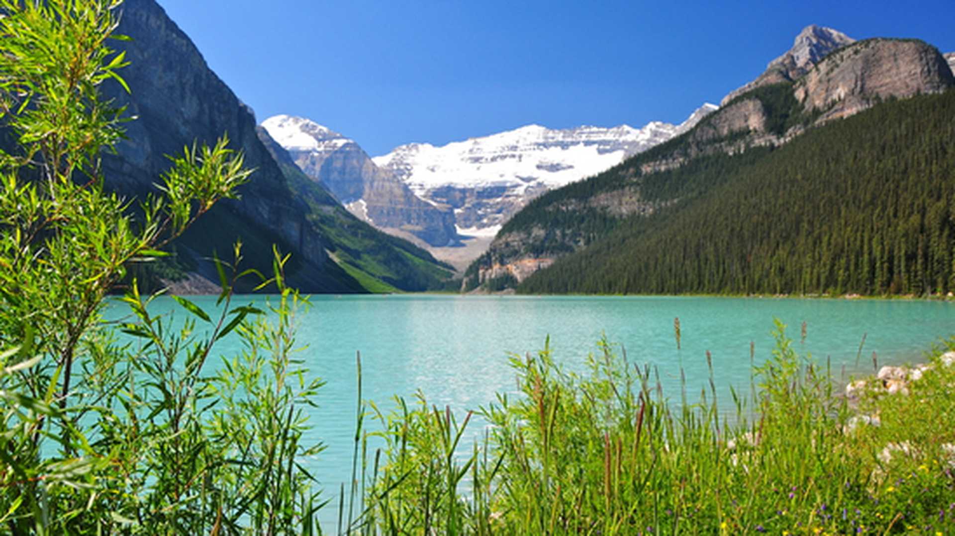Lake Louise is a hamlet in Banff National Park in the Canadian Rockies