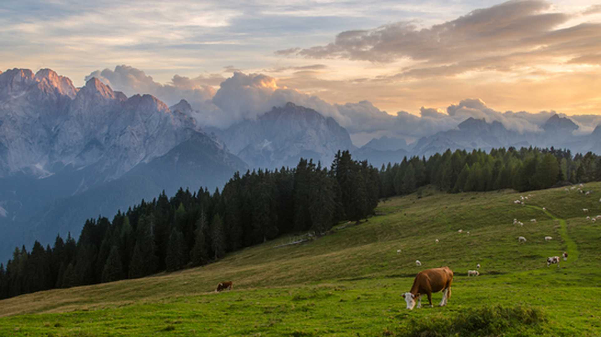 Incredible view across Julian Alps, Slovenia