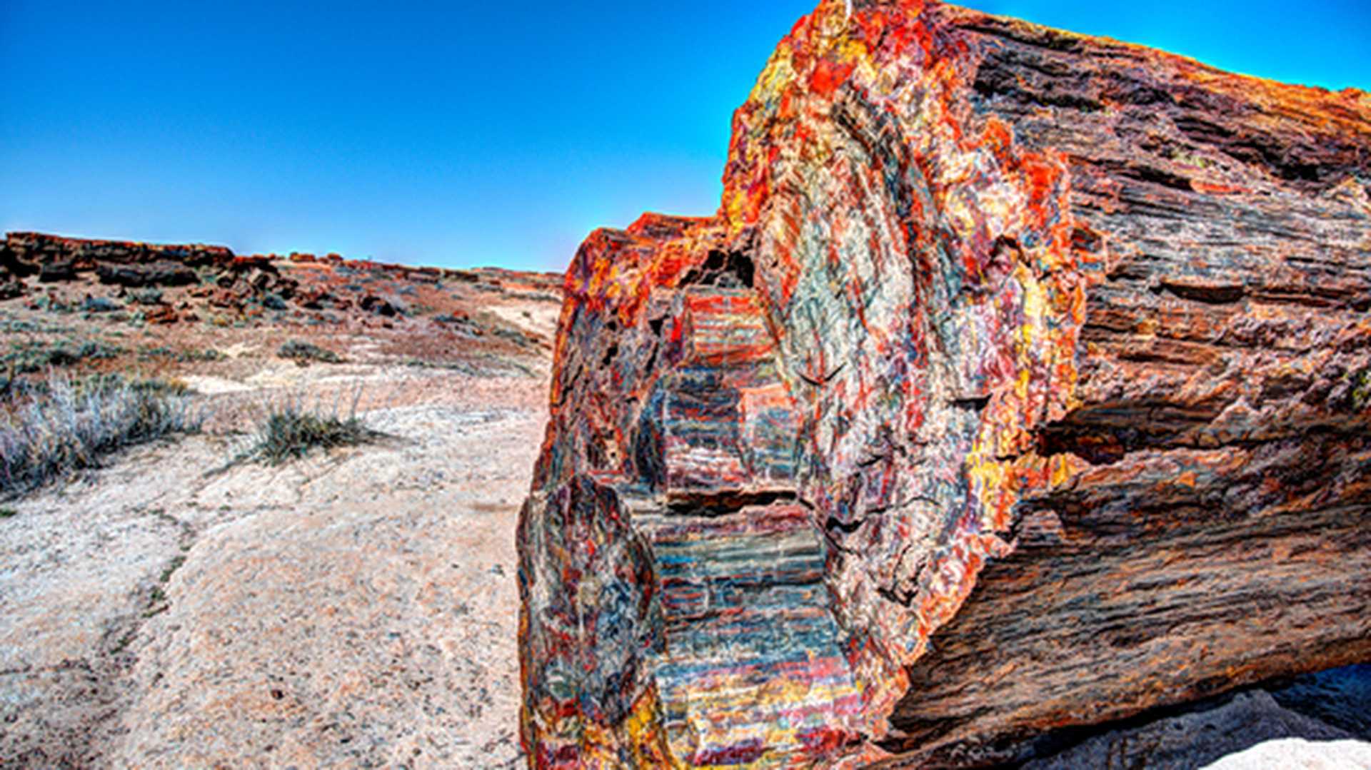 Petrified Forest National Park in Arizona, USA