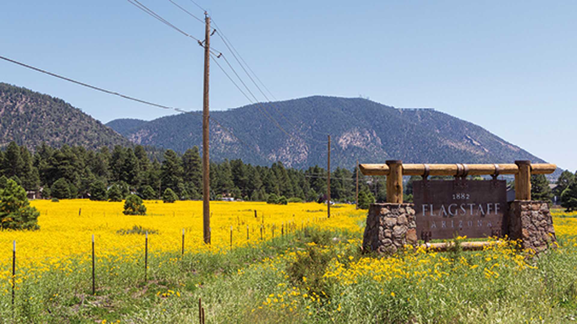Entering sign Flagstaff in a mountain landscape with yellow flowers, Arizona, USA