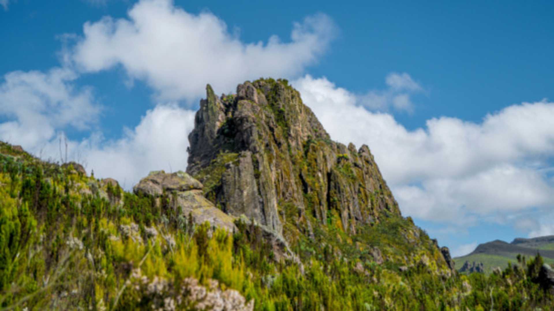 Aberdare National Park