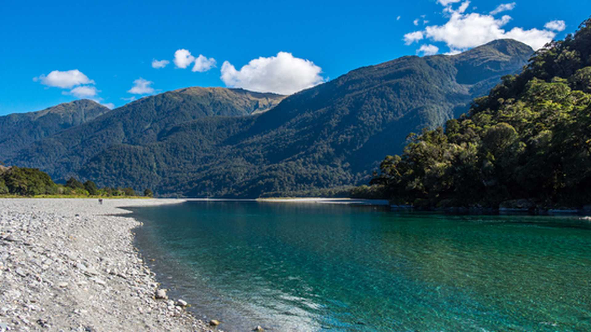Haast River near Roaring Billy Falls on the West Coast of New Zealand South Island