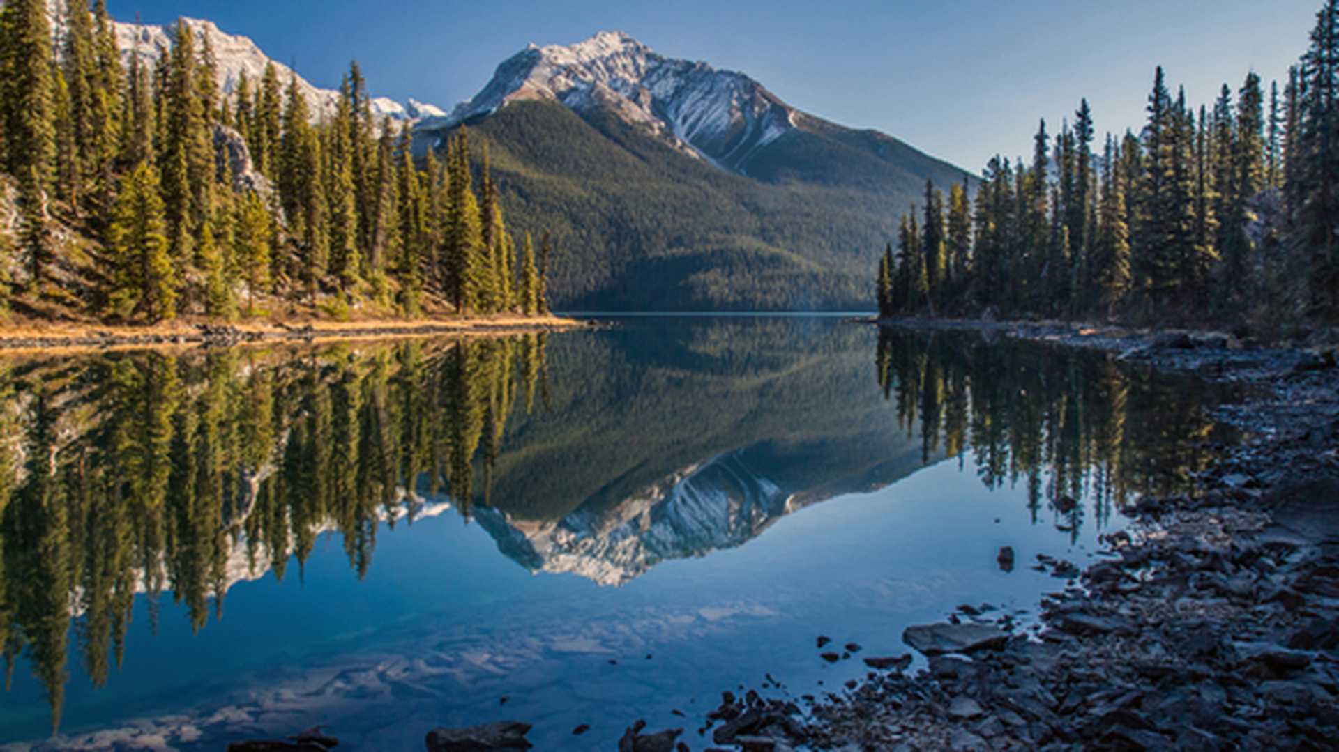 Maligne Lake wilderness, Jasper National Park, Canada