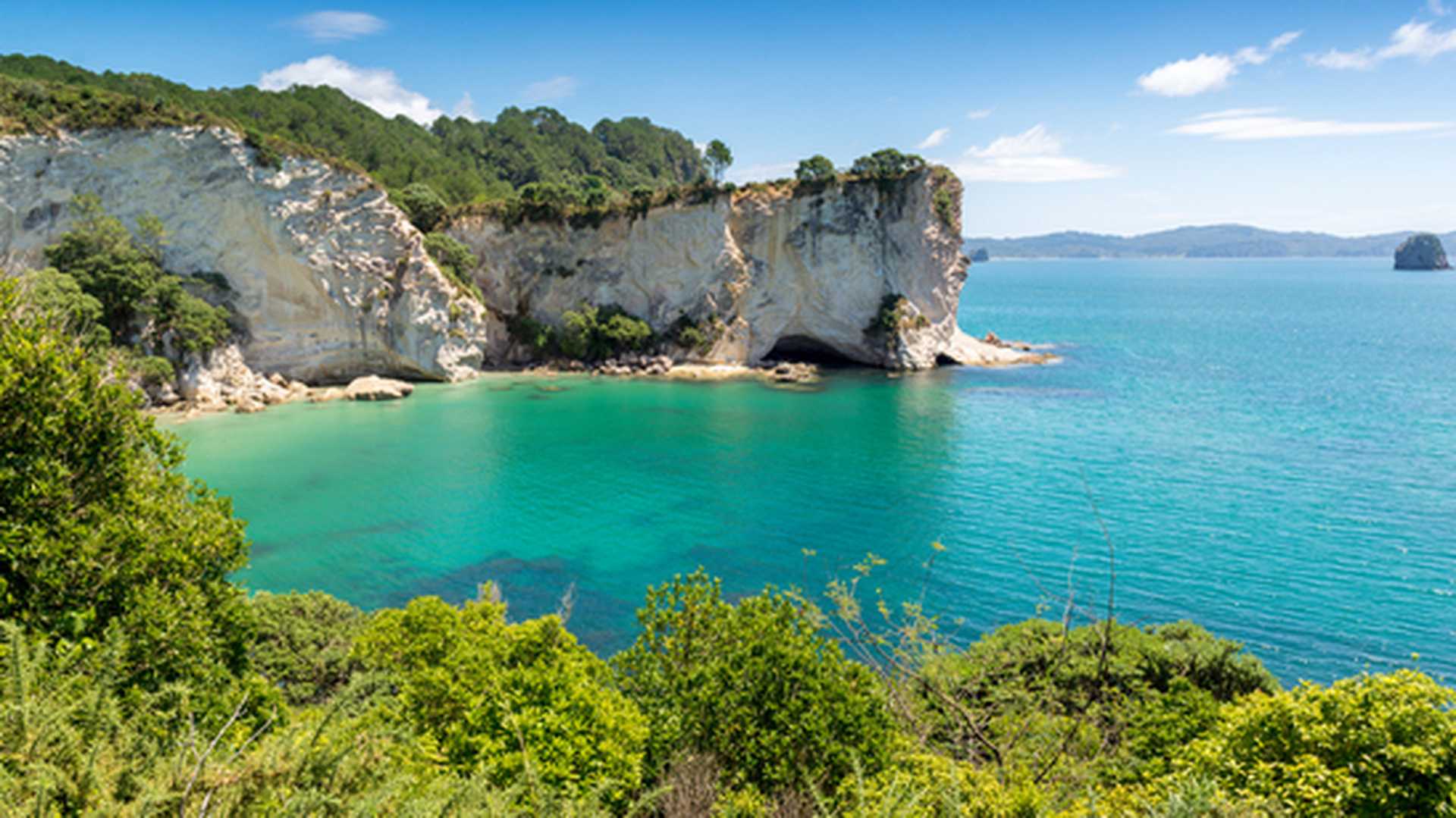 Stingray bay, Coromandel - North Island, New Zealand