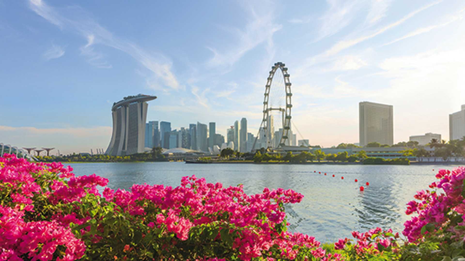 View of central Singapore: Marina Bay Sands hotel, Flyer wheel, ArtScience museum and Supergrove