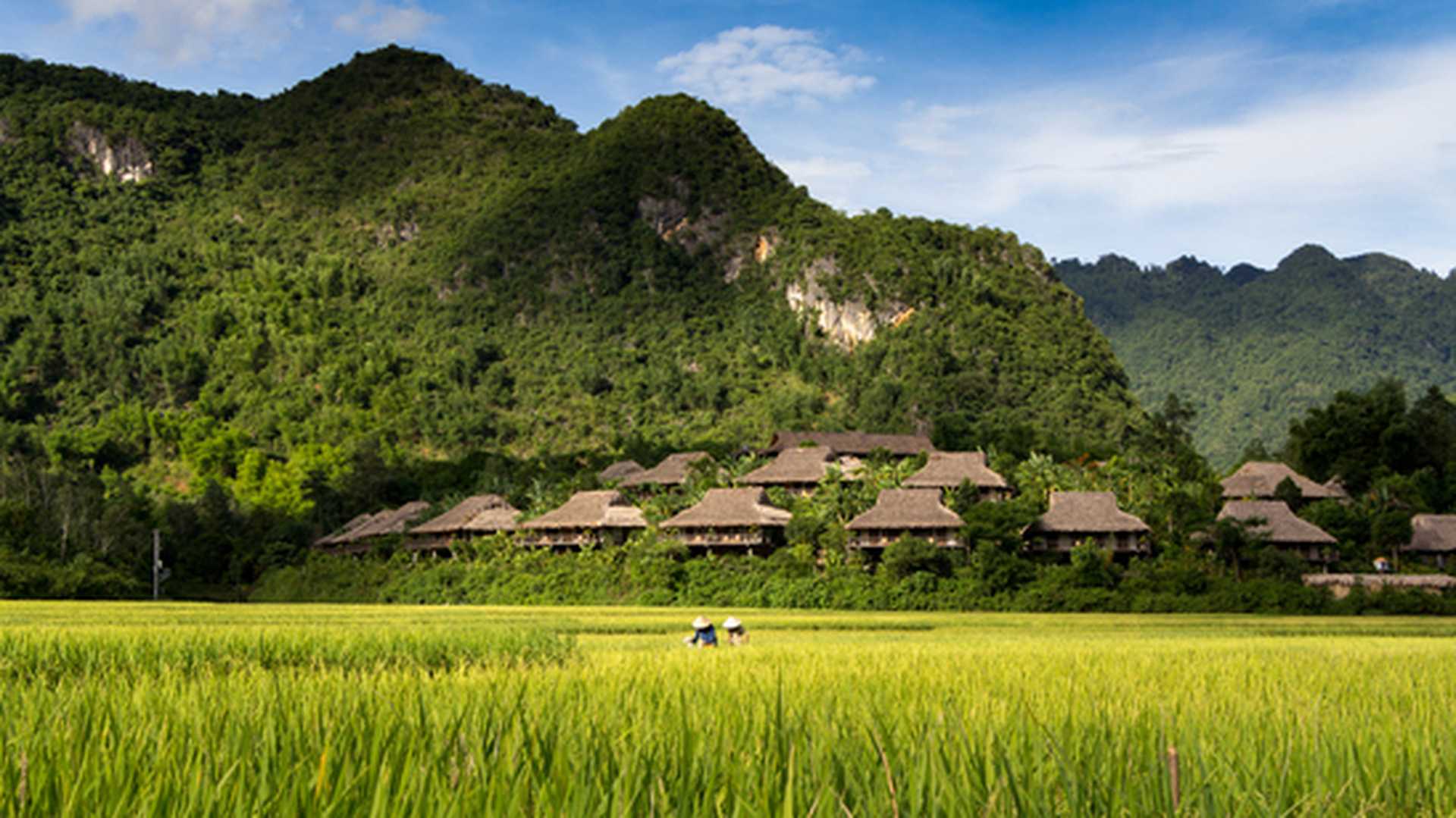 A cluster of homestays on a hillside in Mai Chau Vietnam