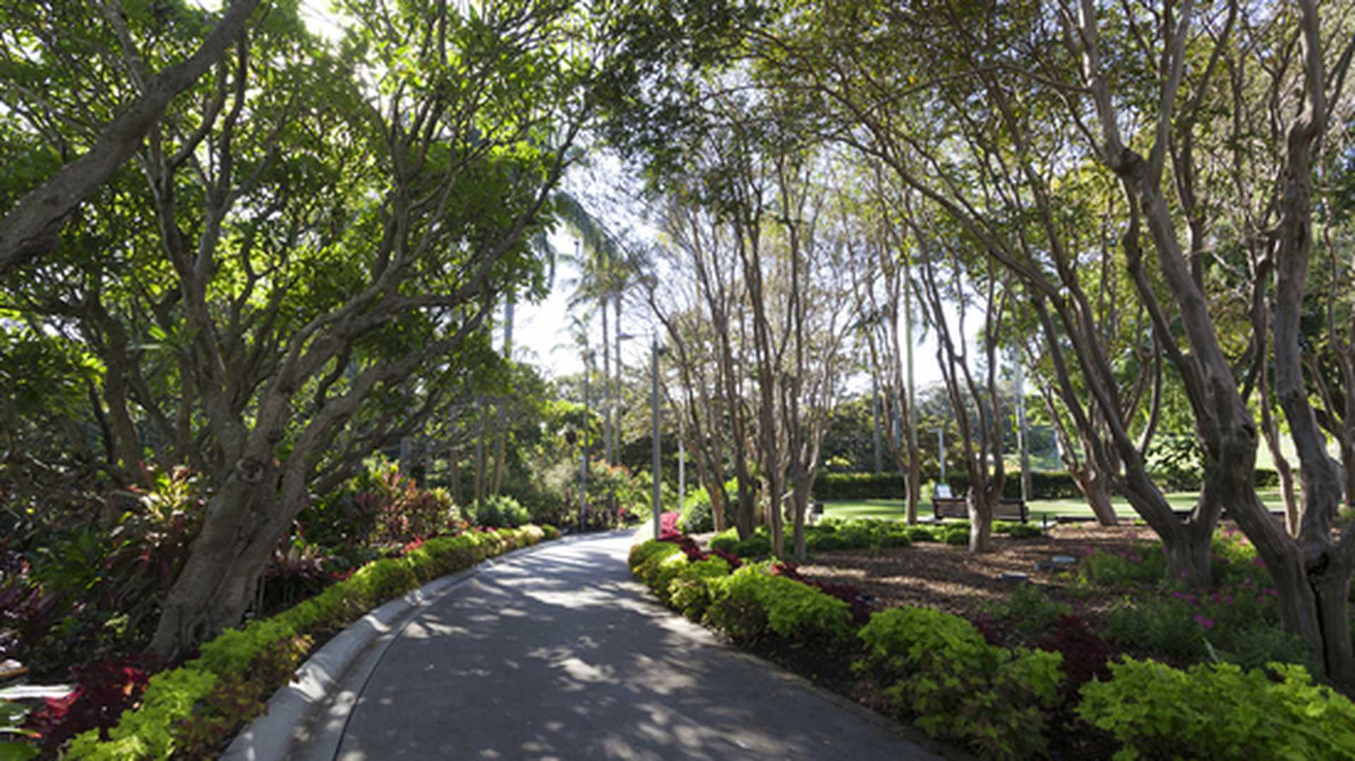 Brisbane city park, Brisbane, Queensland, Australia