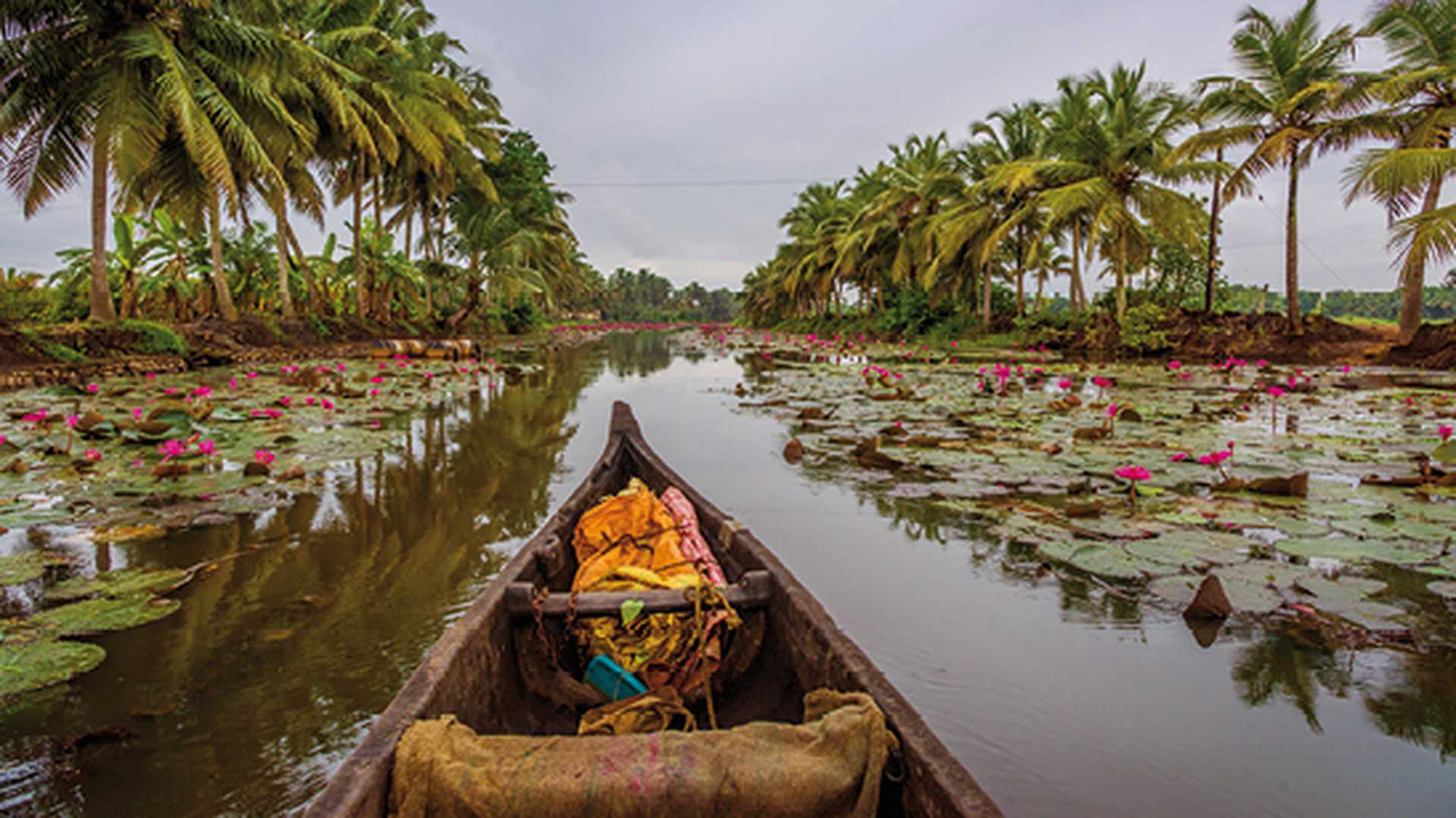 A canoe at the backwaters of Kerala, india