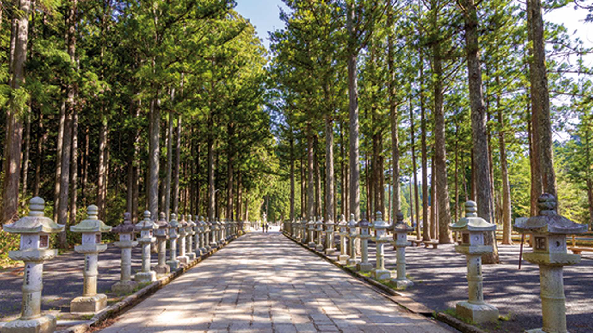 Mount Koya