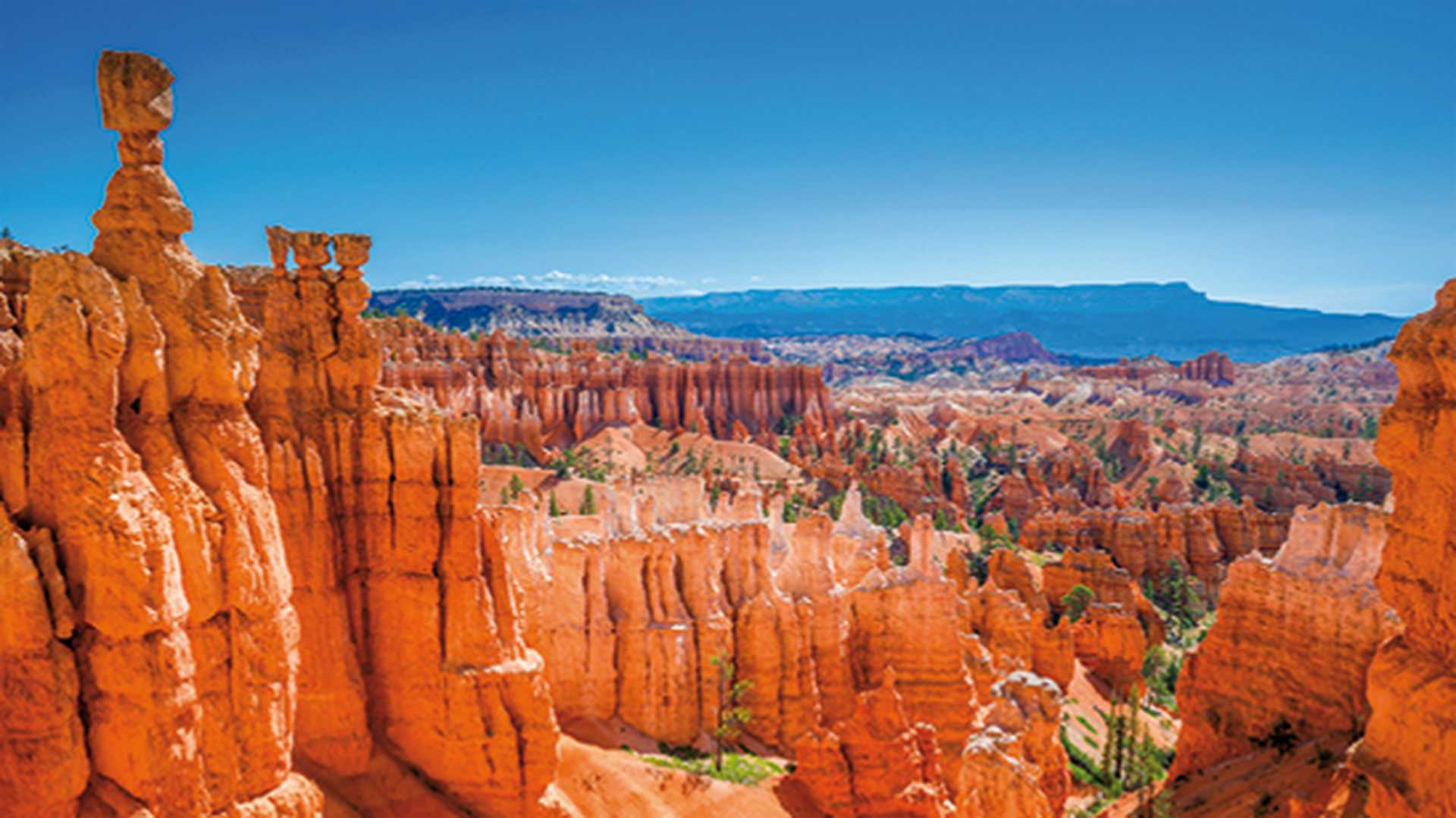The Bryce Canyon National Park, Utah, United States