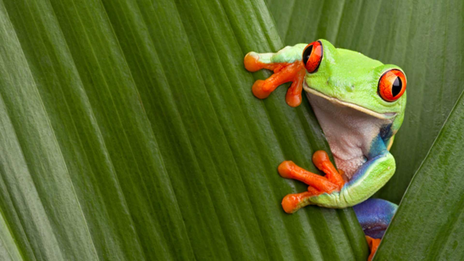 Costa Rica