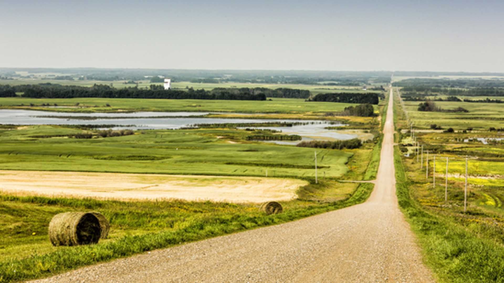 Gravel road through the flat prairies with field and trees across the landscape