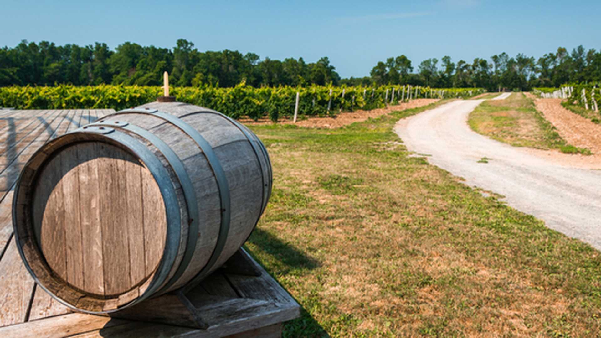 Wine keg in Prince Edward County in Canada