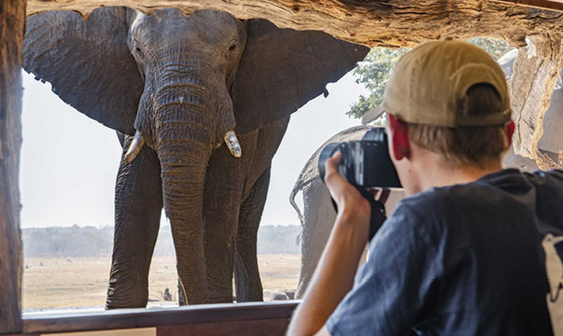 Sable Valley underground hide