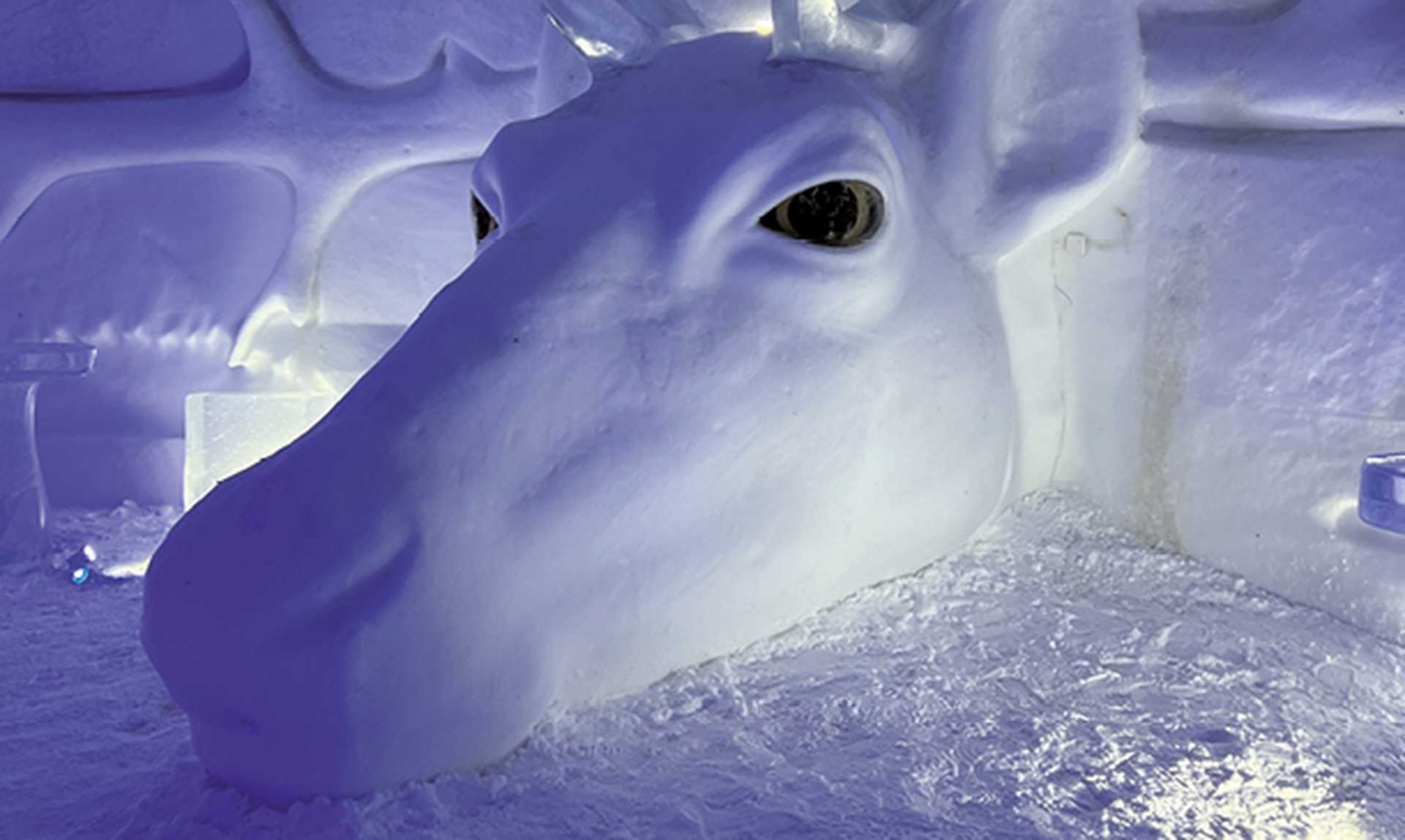 Inside a snow hotel in Kirkenes, Norway