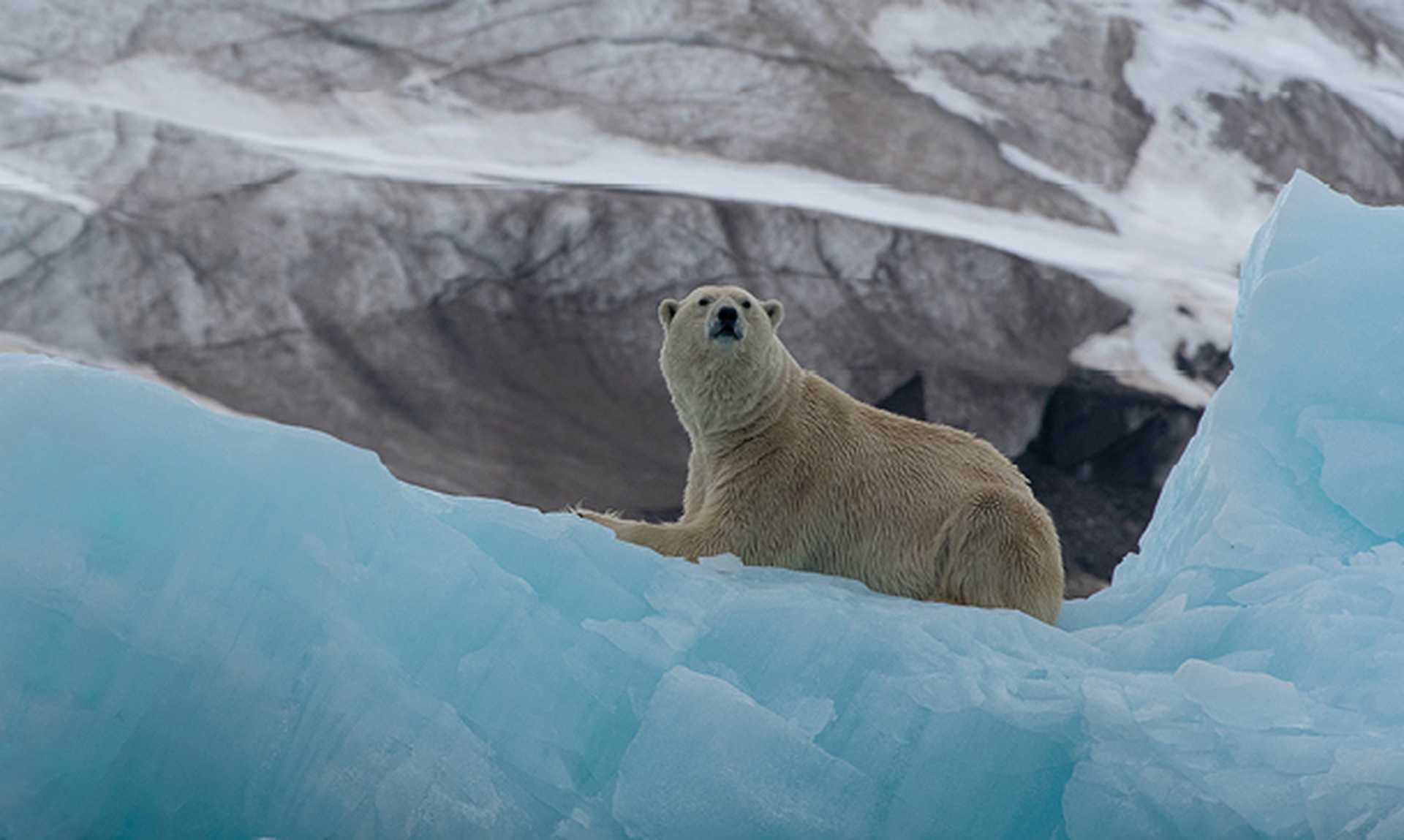 Ice edge