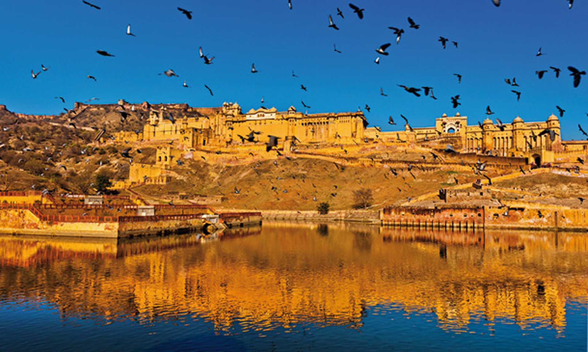 Birds fly over Jaipur