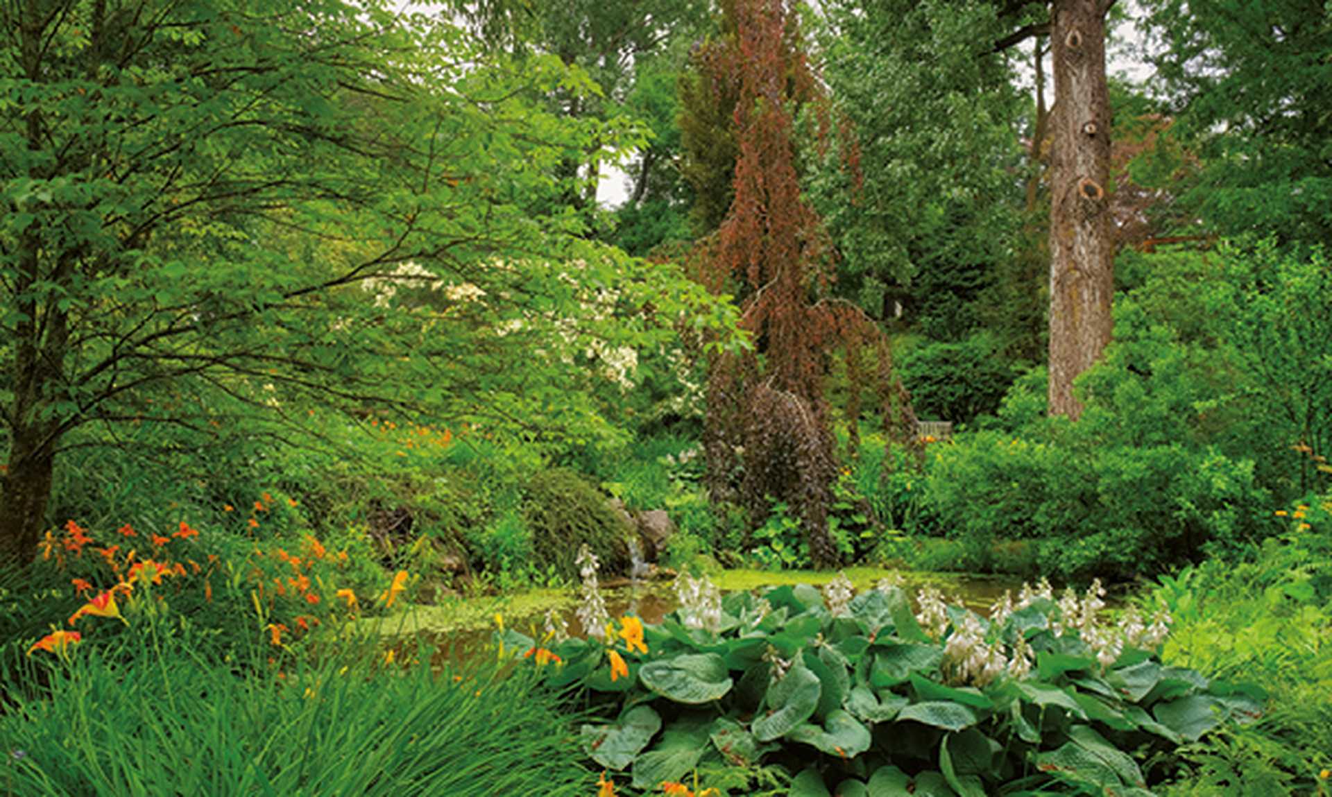 The Annapolis Royal Historic Garden,Annapolis Royal Nova Scotia