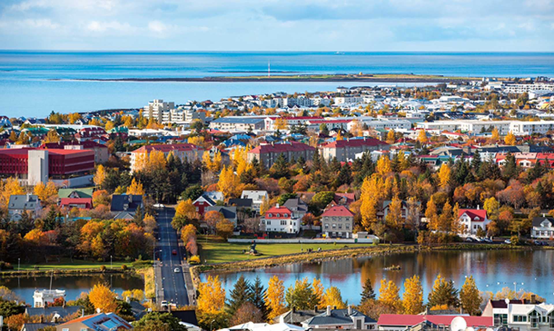 Autumn colours in Reykjavik, Iceland.