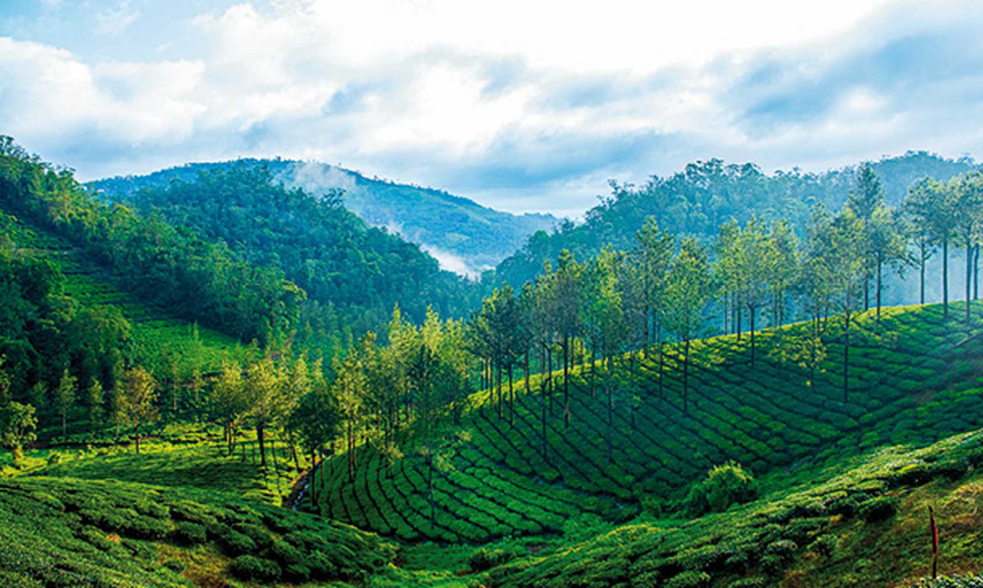 Landscape from Thekkady
