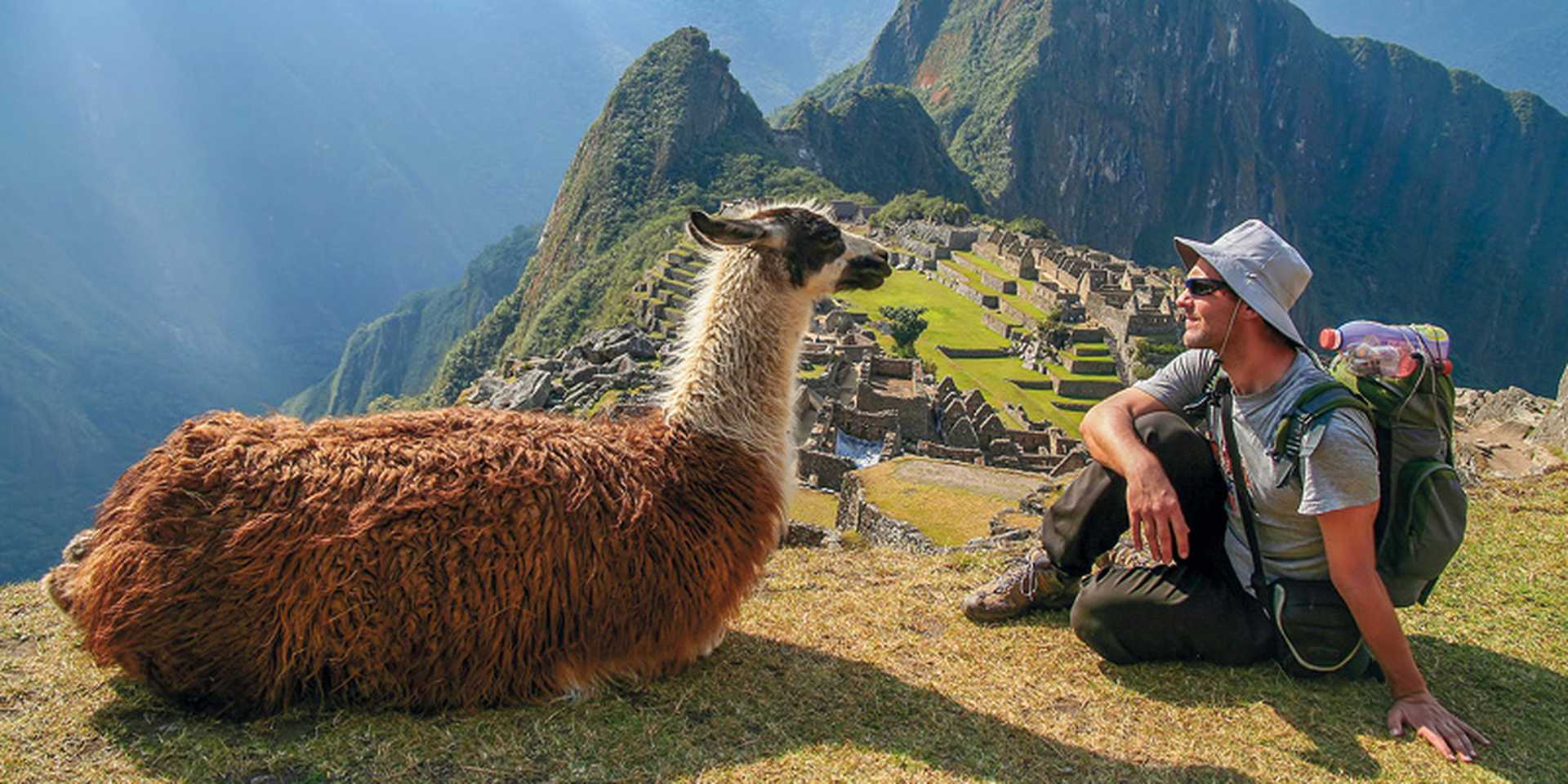 Tourist and llama sitting in front of Machu Picchu, Peru