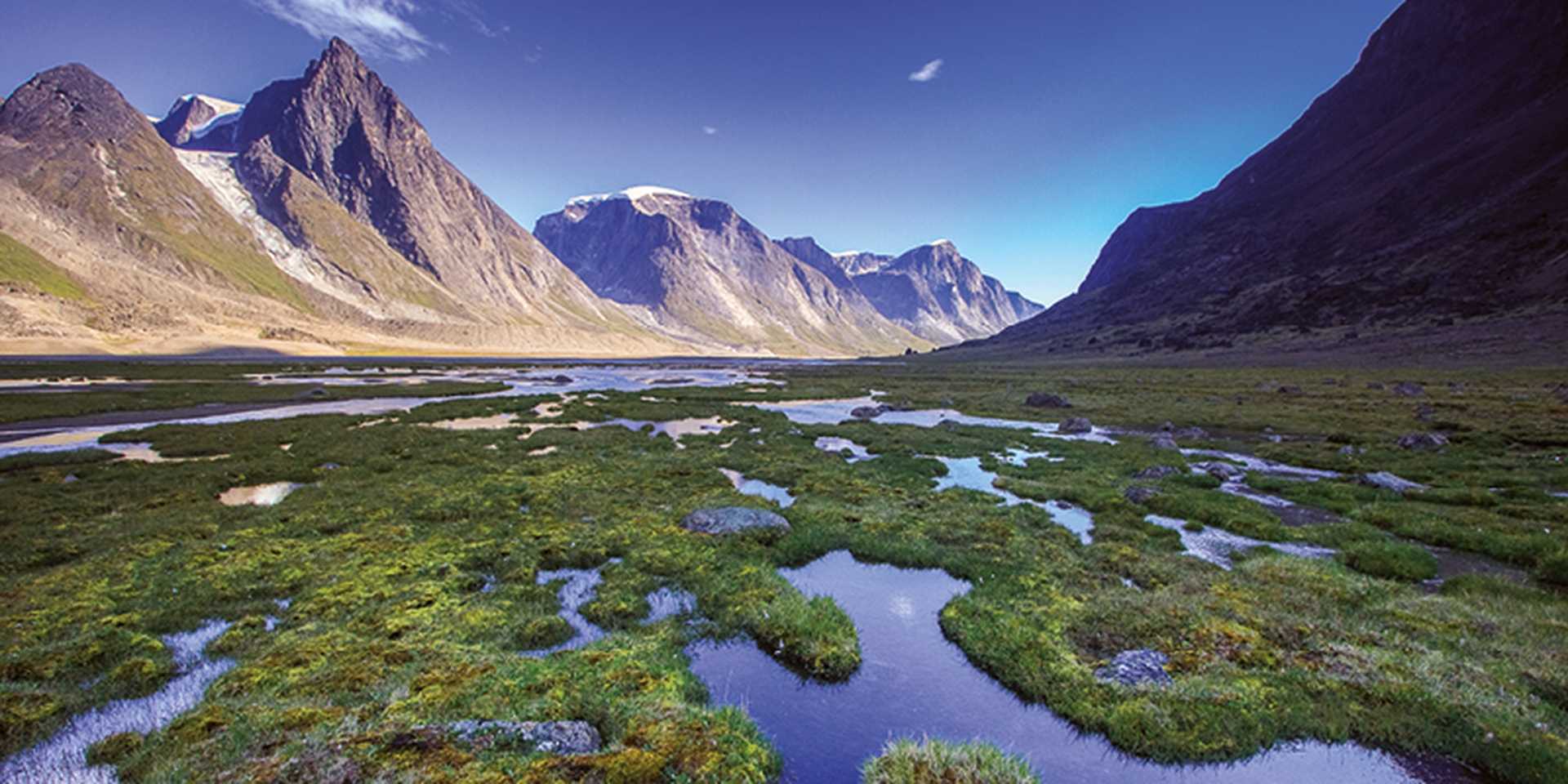 Marshy landscape along the trail in Akshayuk Pass, Baffin Island, Nunavut
