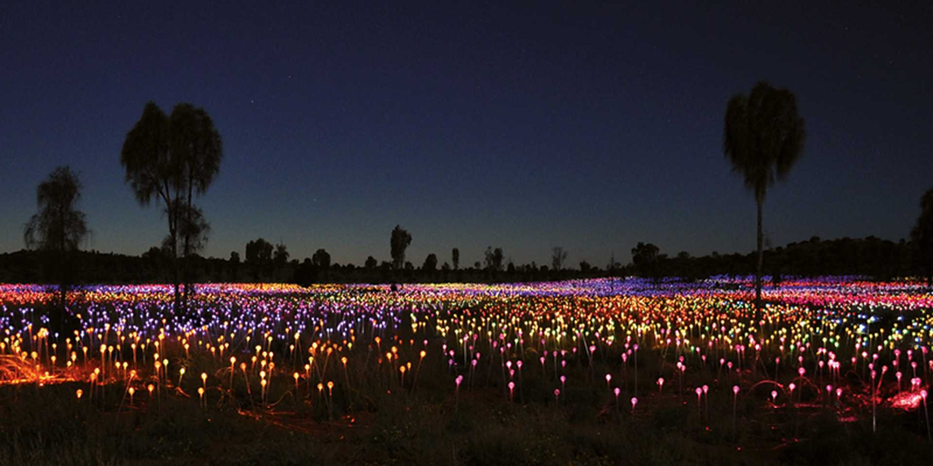 Field of light, Uluru, Australia