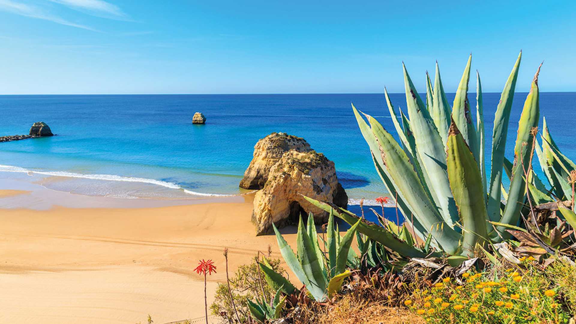 The Algarve