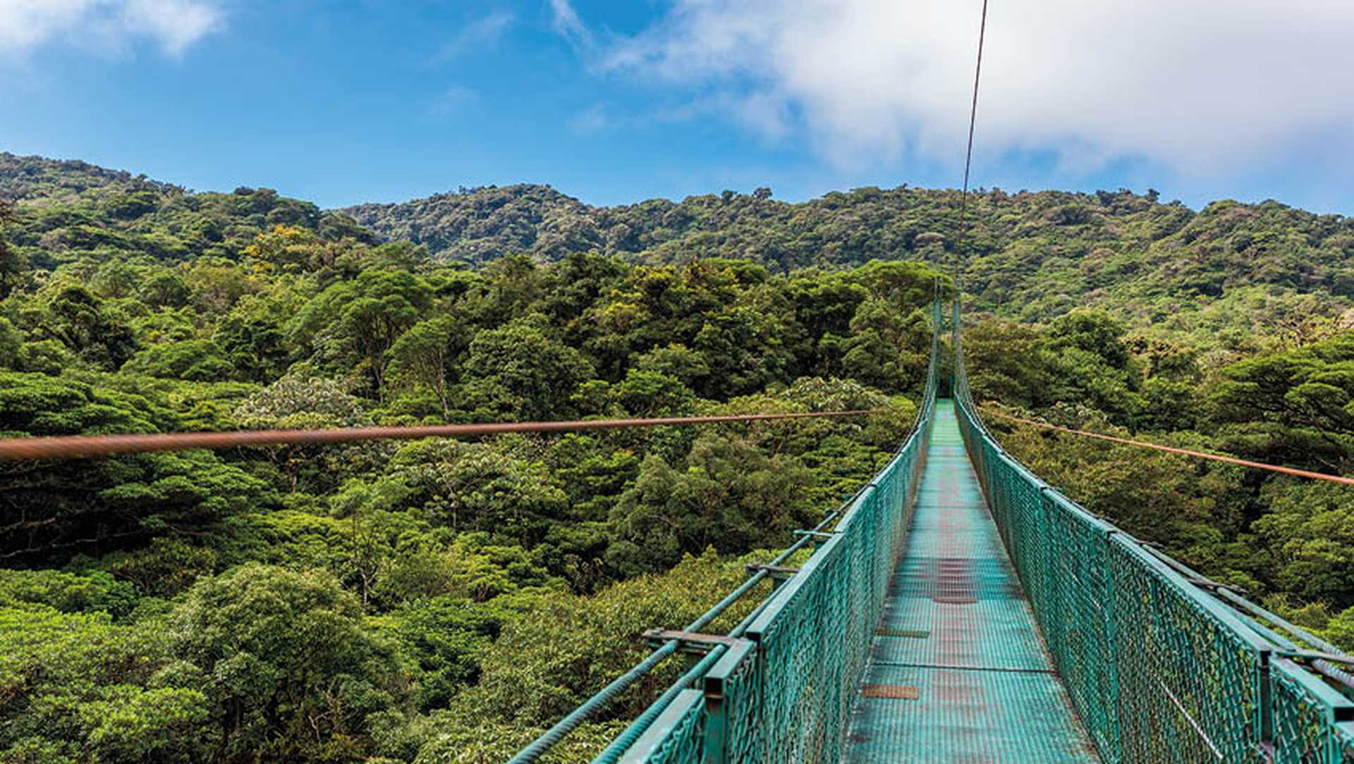 A hanging bridge over the cloud forest in Monteverde, visited on Titan's Costa Rica tours
