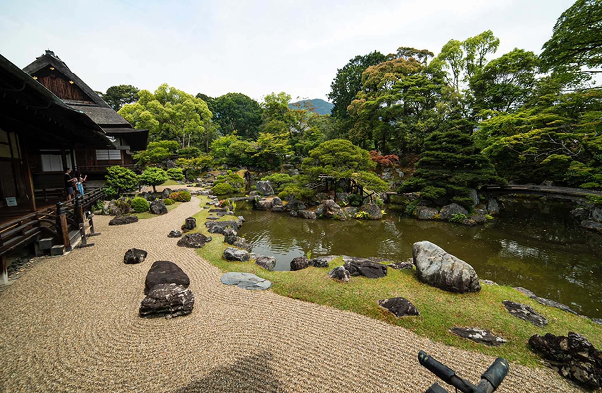 A rock pond in a traditional Japanese garden