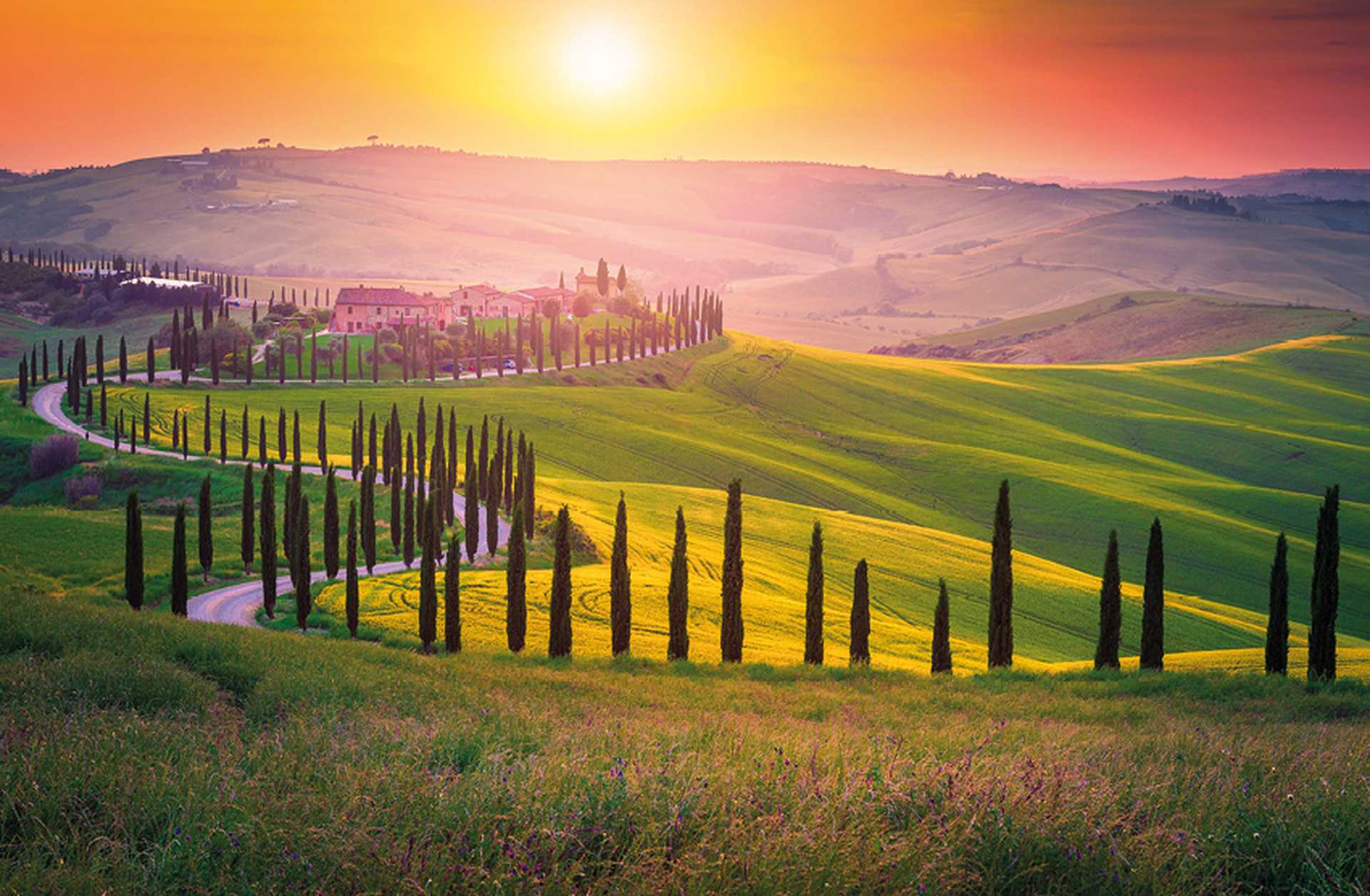A cypress-lined lane winds through the Tuscan countryside towards a farmhouse