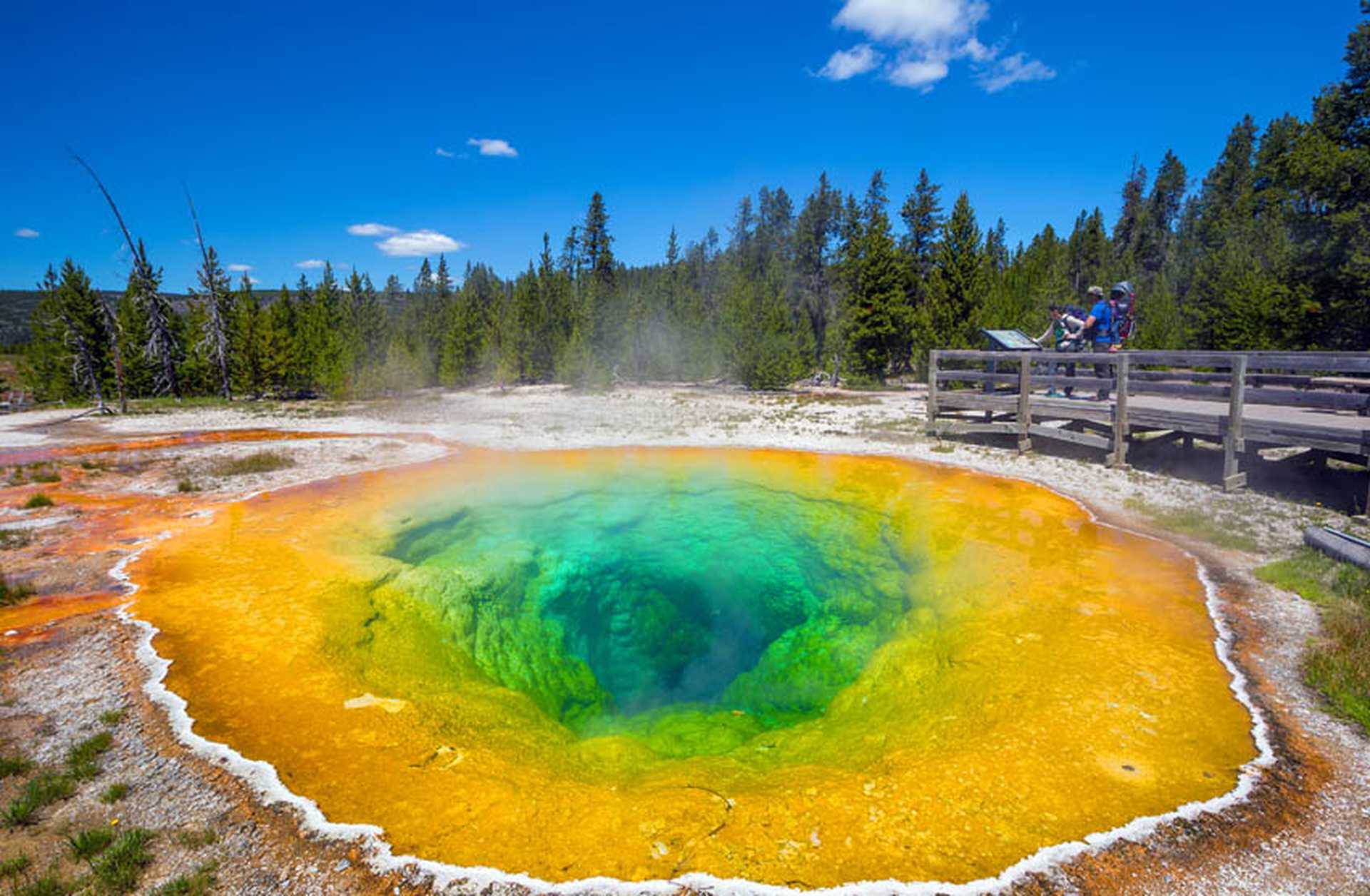 Morning Glory Pool in Yellowstone National Park of Wyoming, USA