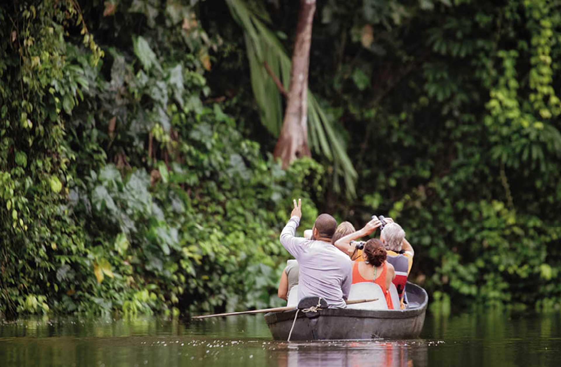 Tourists watch for wildlife along a river bank from a small boat