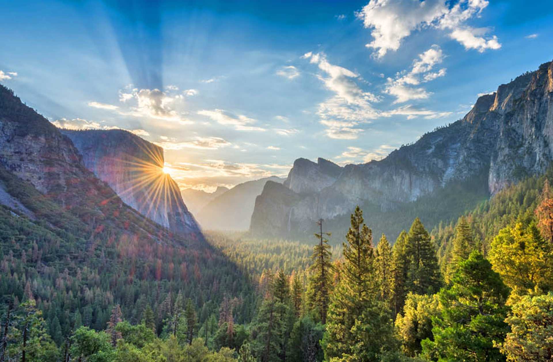 Panoramic view of Yosemite National Park, USA
