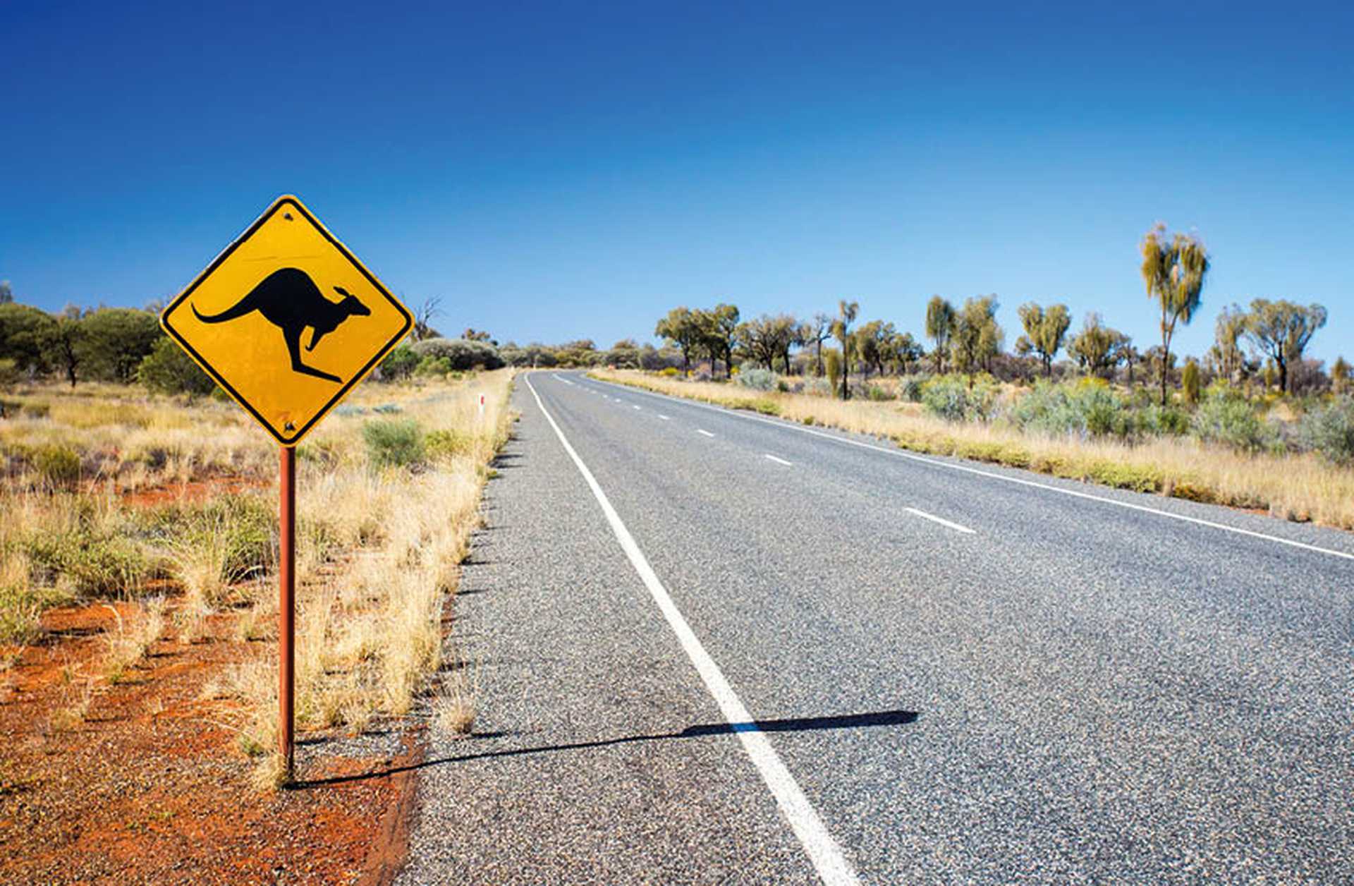 A kangaroo warning sign on the roadside near Uluru in Australia's Northern Territory