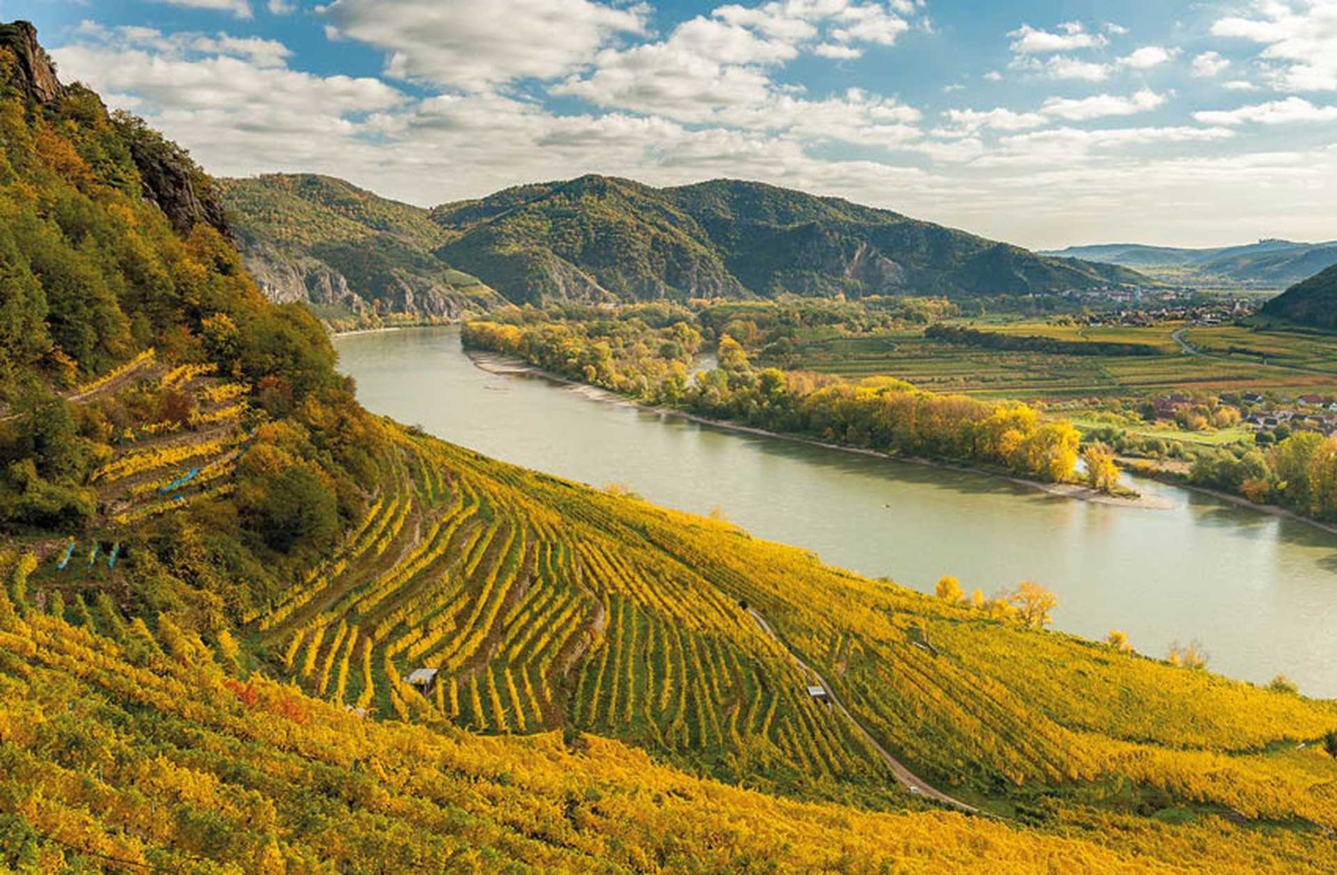 Vineyards along the Danube in the Wachau Valley