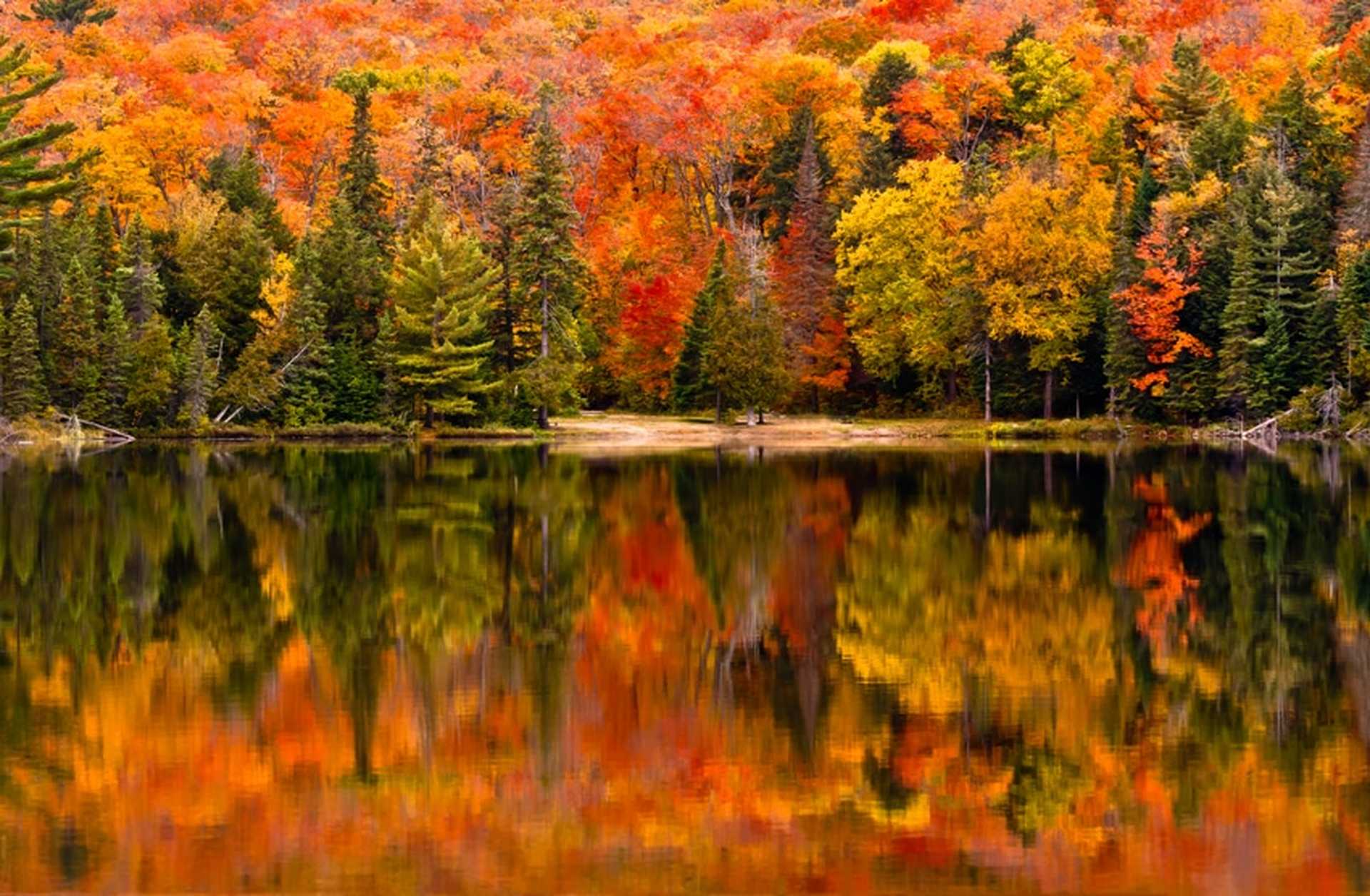 Autumnal colours of a forest are reflected in a lake